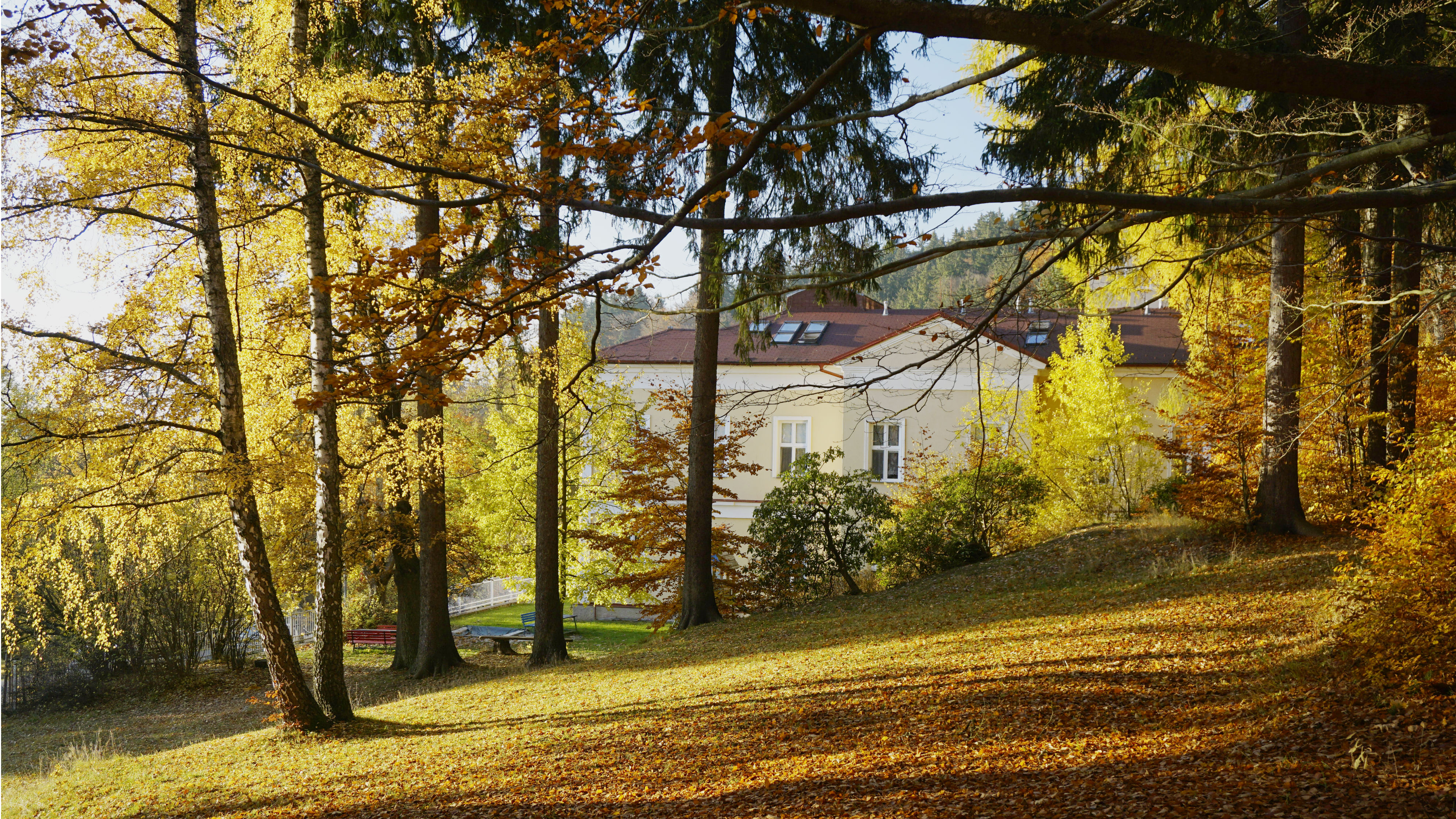 Léčebné lázně Lázně Kynžvart foto 5
