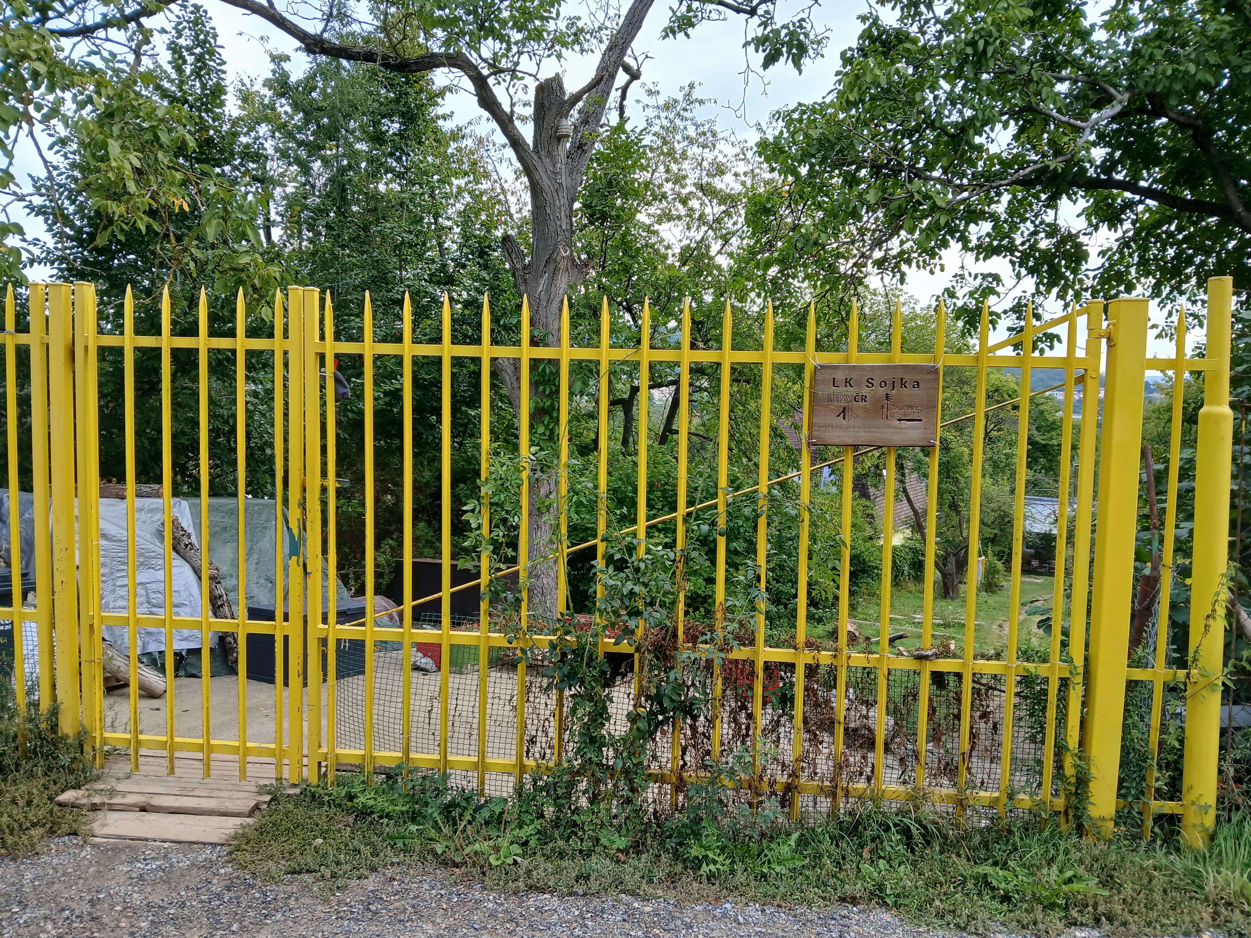 Lesní Klub Sojka foto 5