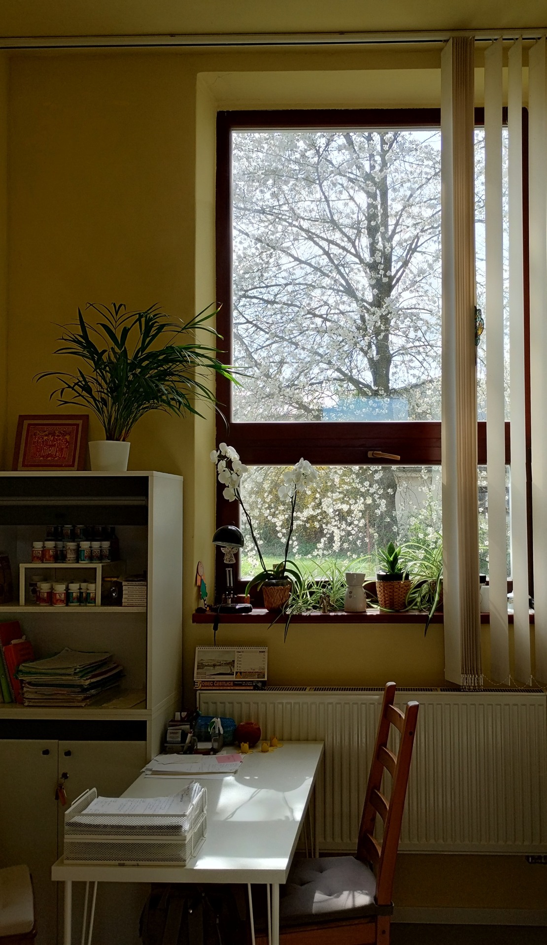 Fyzioterapie vám na míru - Bc. Kateřina Dorňáková foto 3