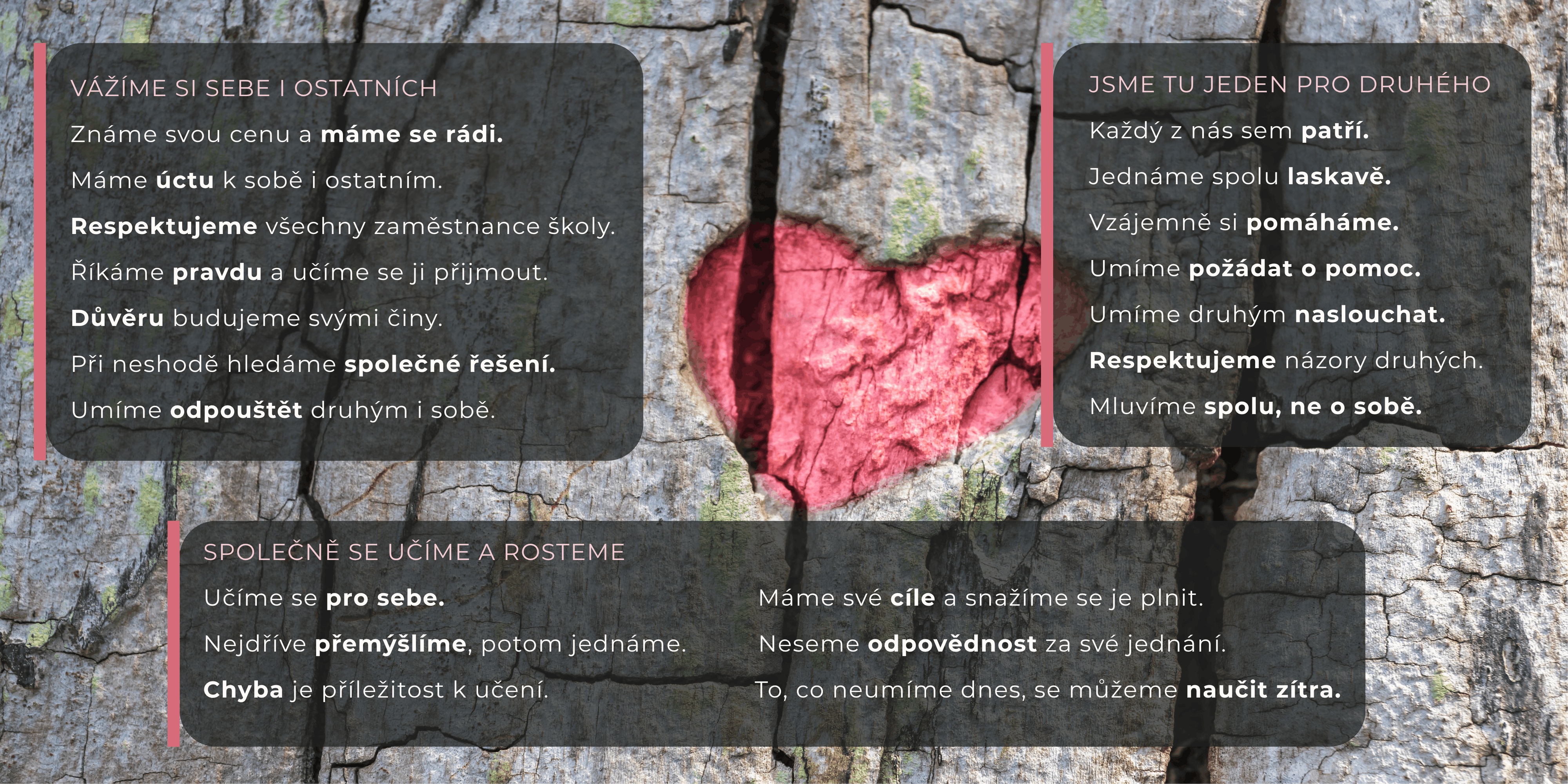 Tichá Třída s.r.o. foto 5
