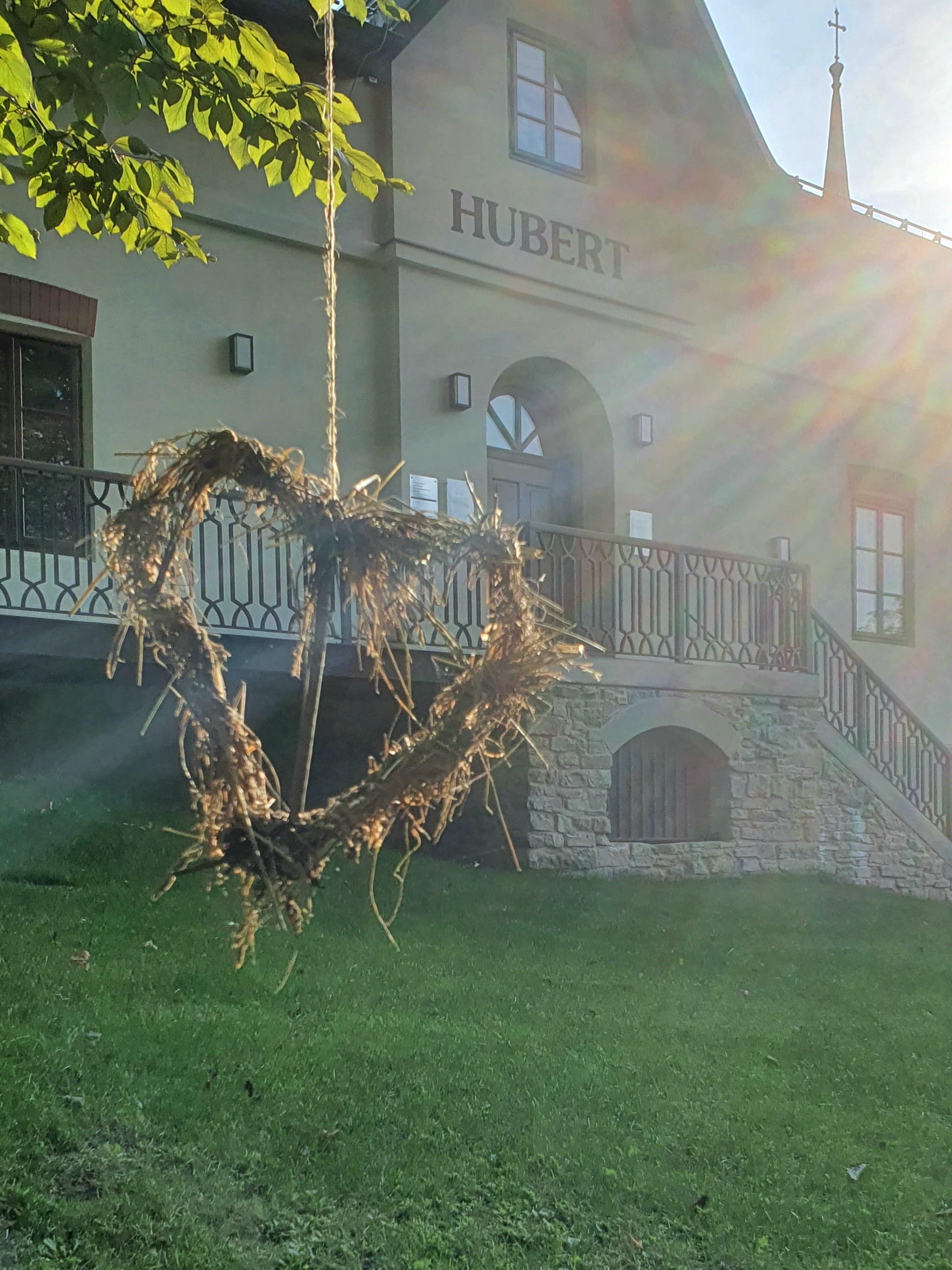 EKOHUBERT foto 4