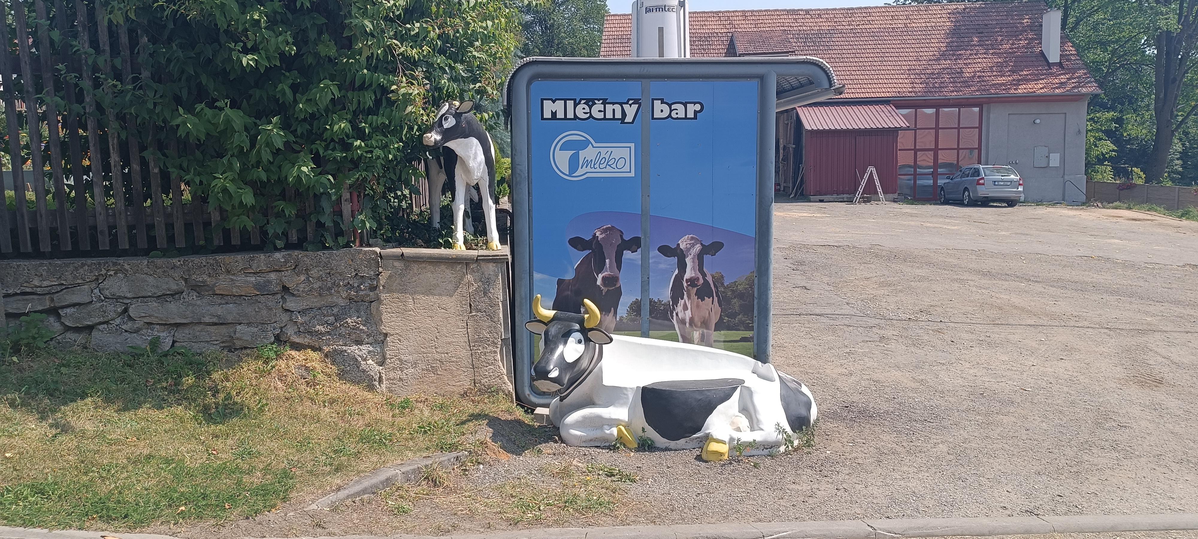 Mléčný bar Zubří foto 5