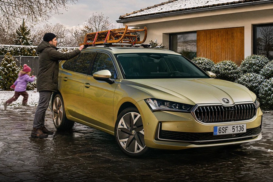 Zimní servisní akce Škoda