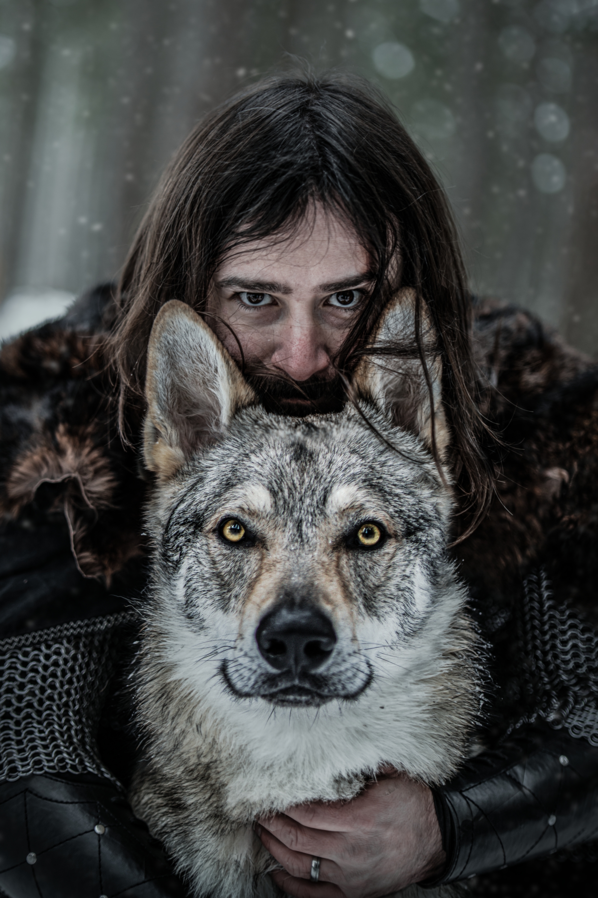 Wolfs Production foto 4