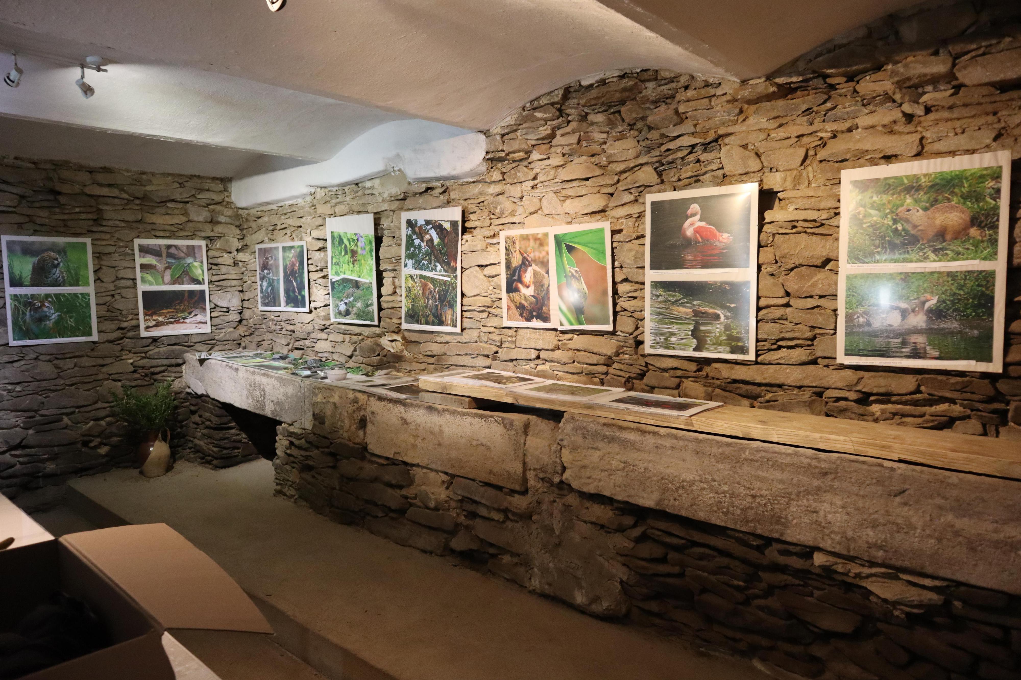 Muzeum Kořenec foto 2