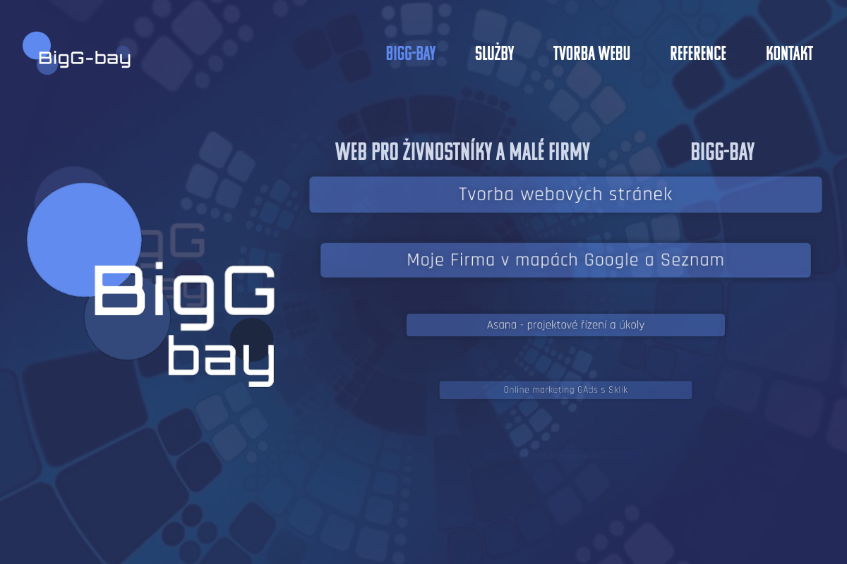 Jiří Vocílka - BigG-bay