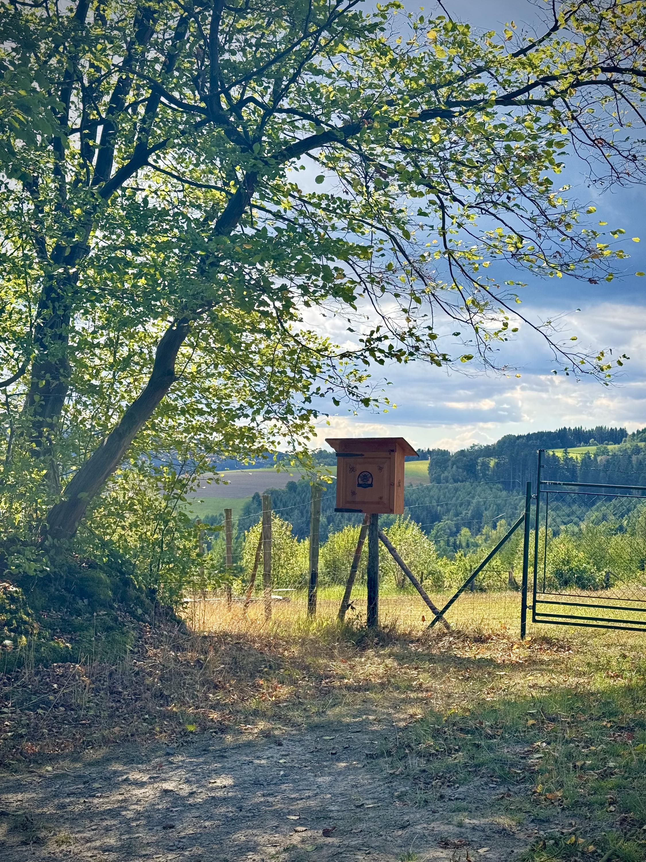 Medokrámek foto 2