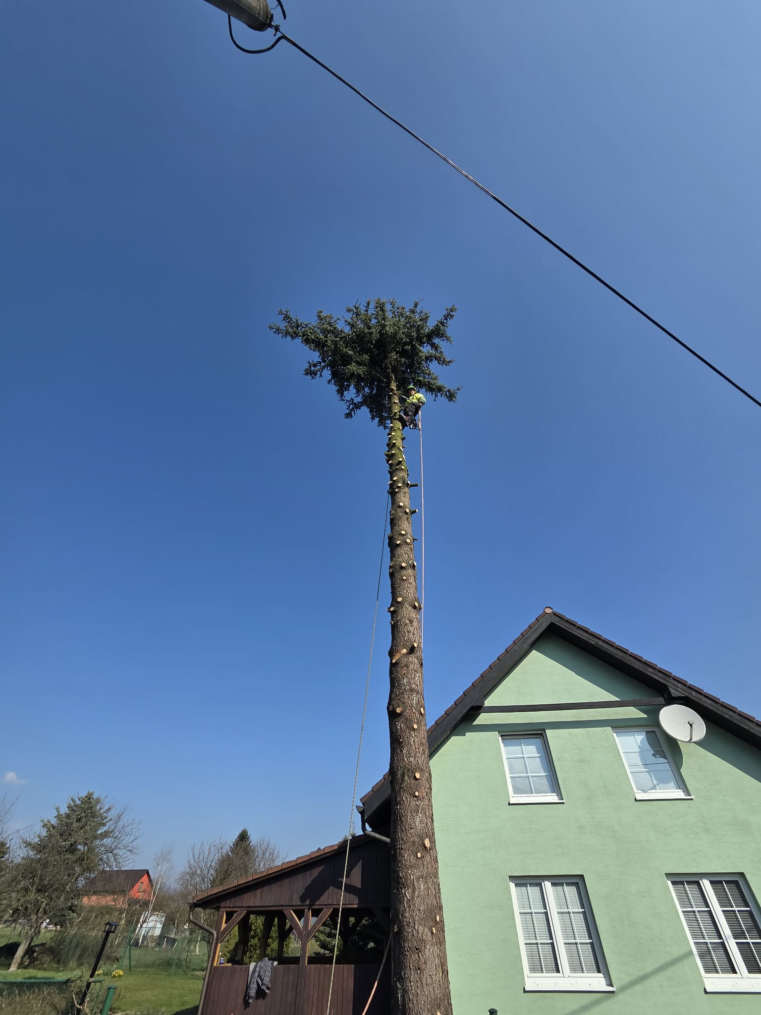 Rizikové Kácení Grutman foto 4