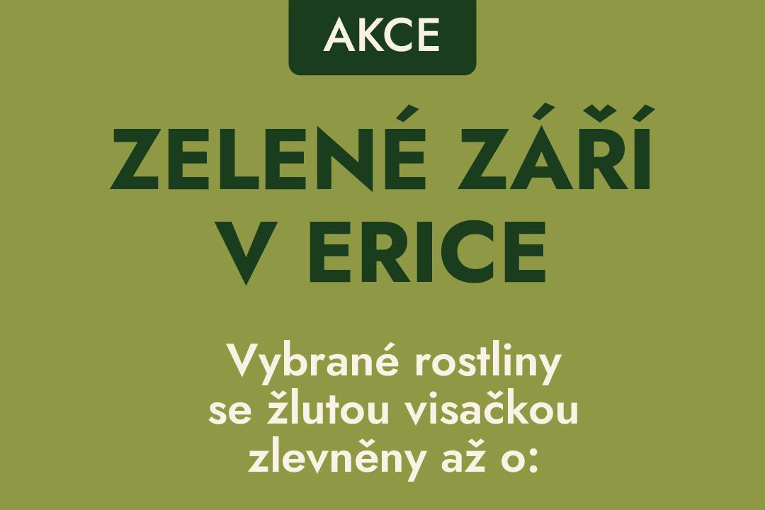Stromy se žlutou visačkou