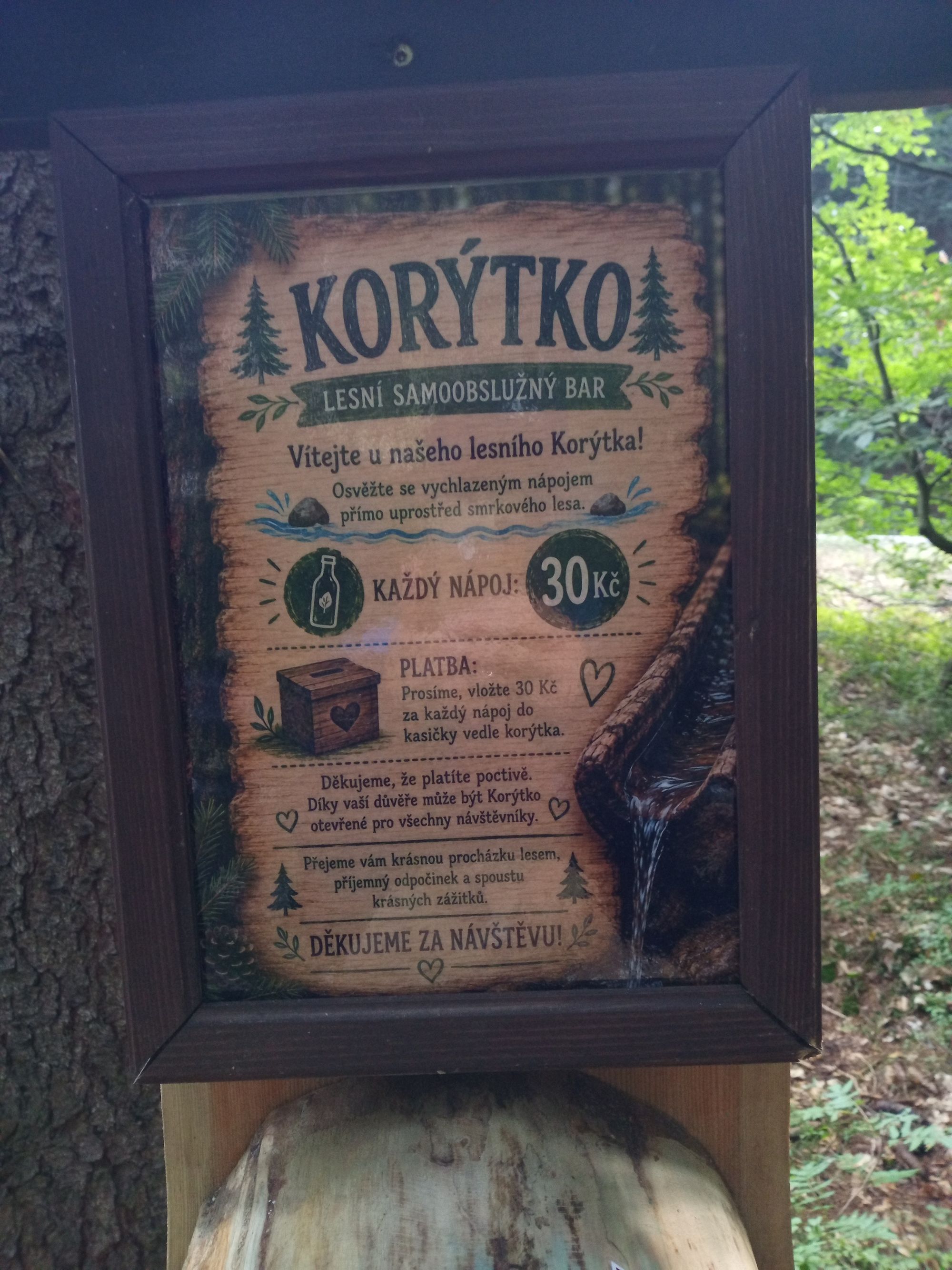 Lesní bar Korýtko foto 4