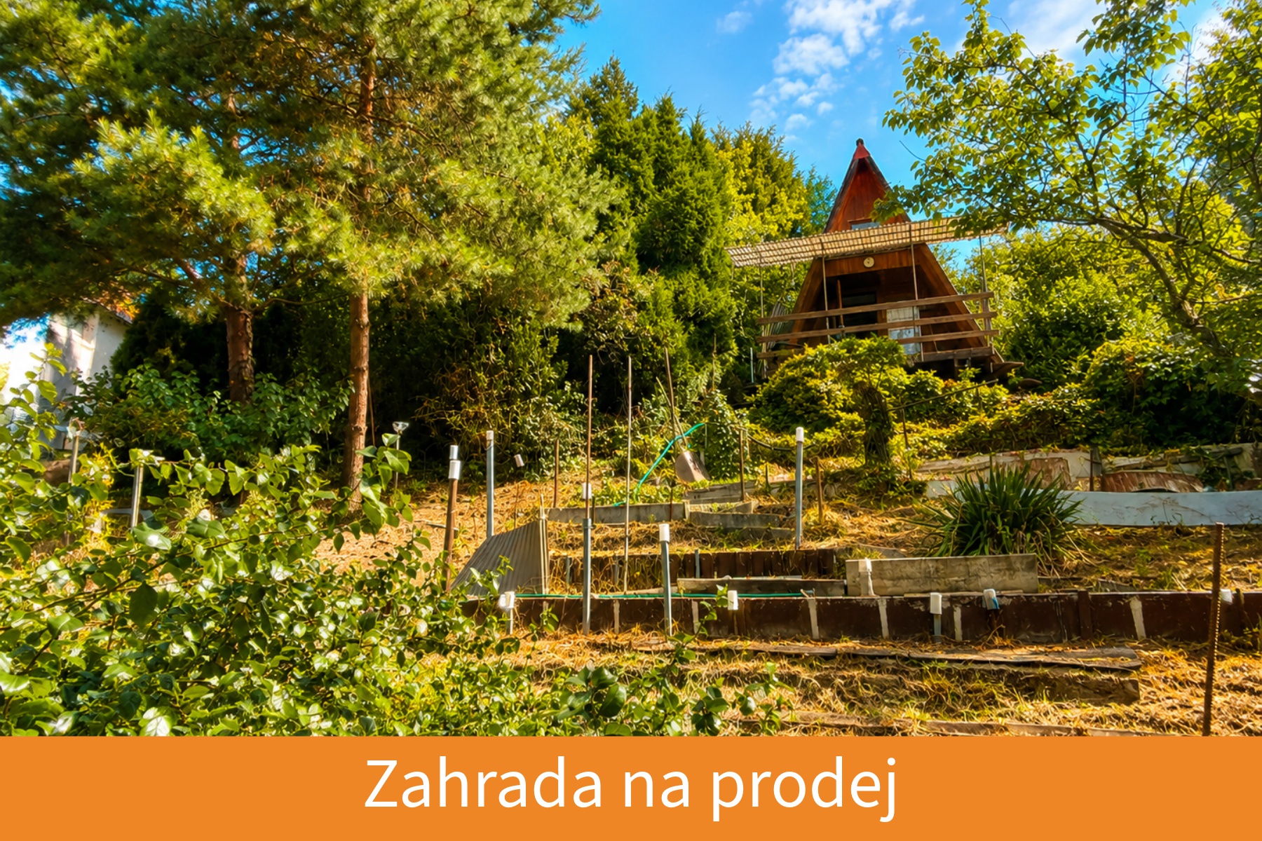 Petr Němčanský - realitní makléř | Bidli foto 3