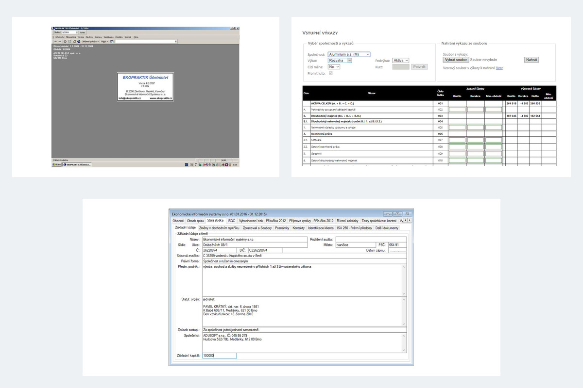 Software pro ekonomiku firem a auditory