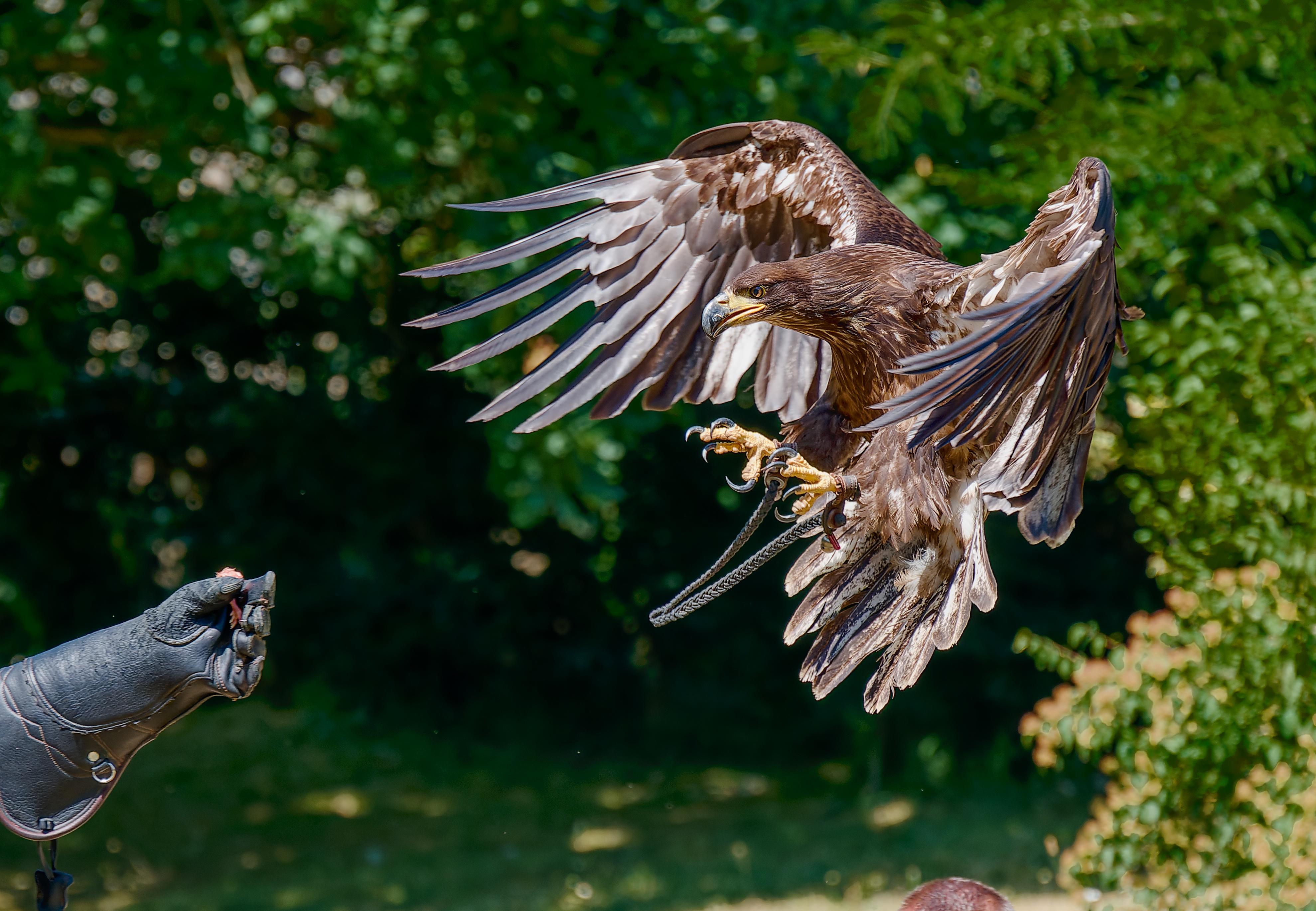 Zoo Jihlava foto 2