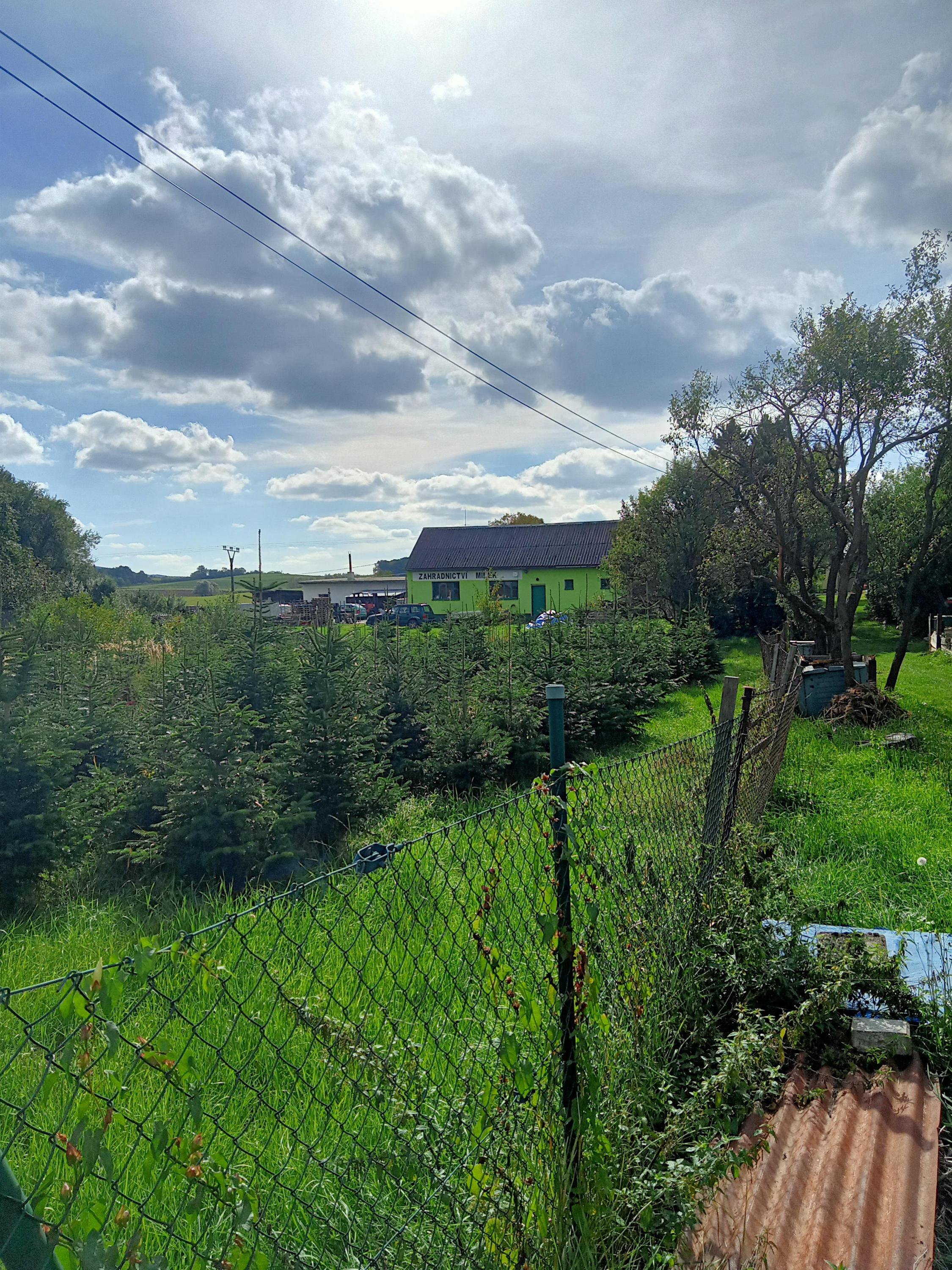 Zahradnictví Mílek foto 1