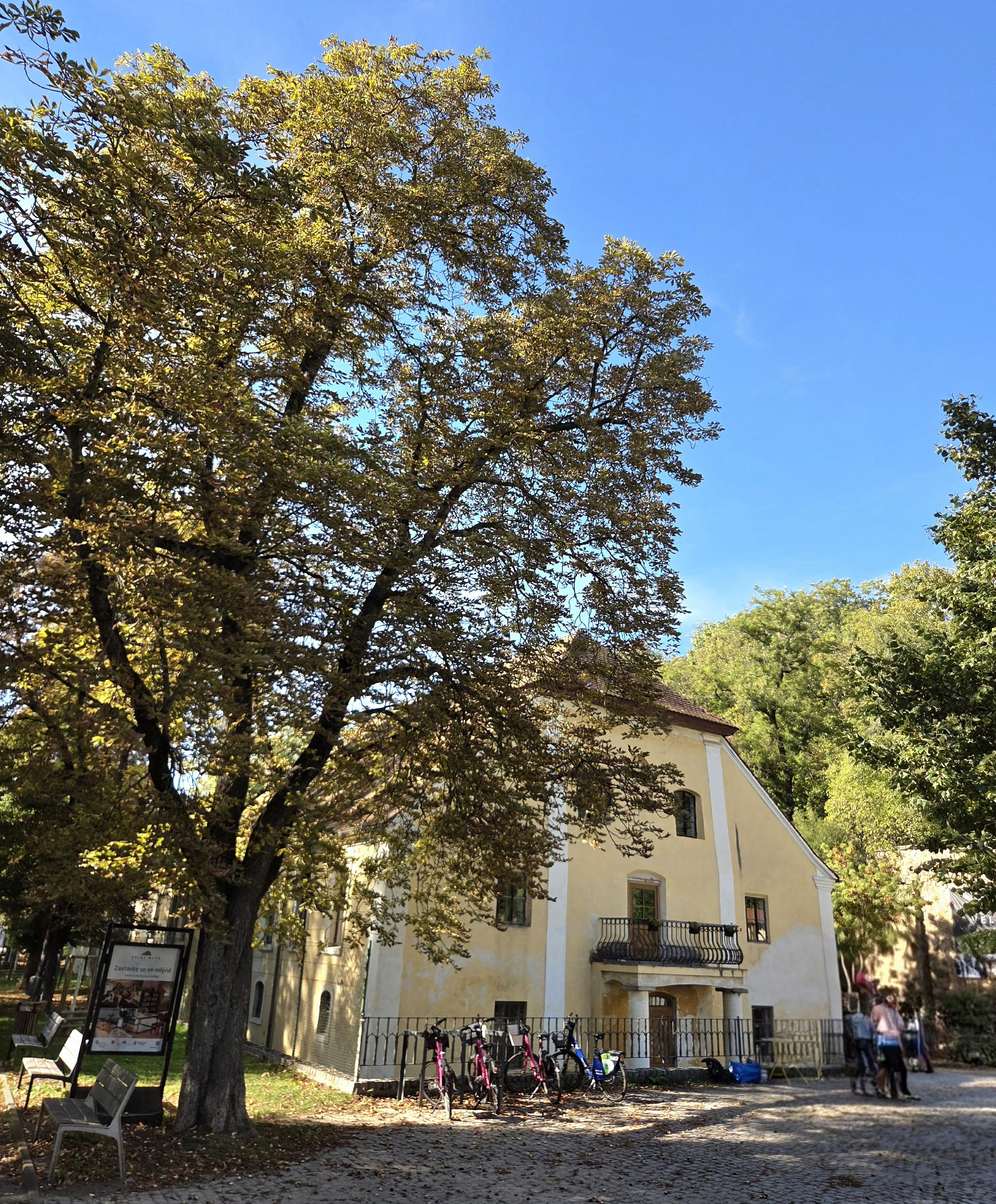 Kulturní centrum Velký mlýn foto 3