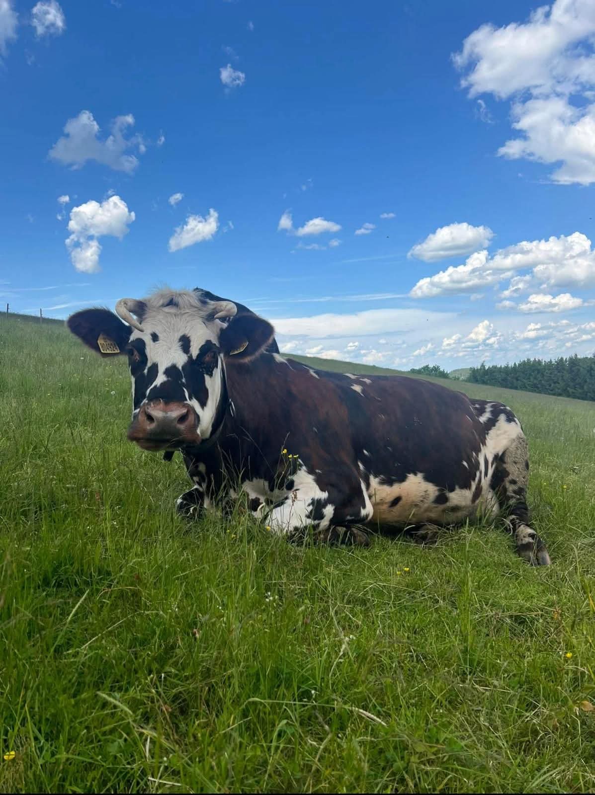Jáchymovská farma foto 2