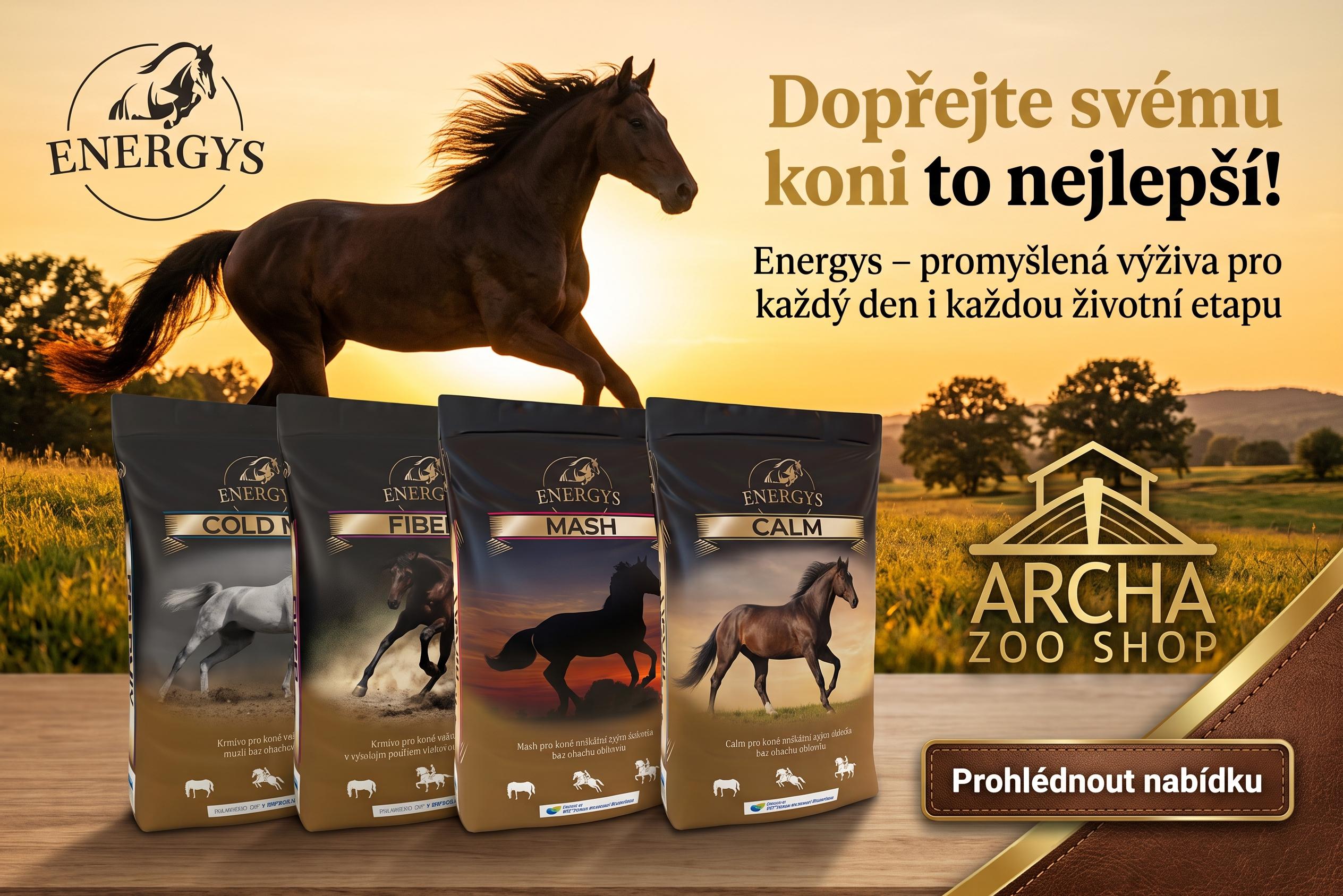 Energys_koně_premium