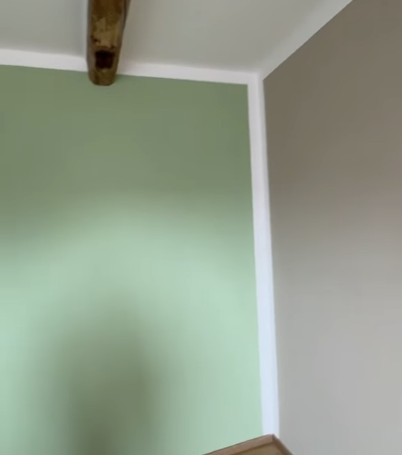 Kois Malíř foto 4