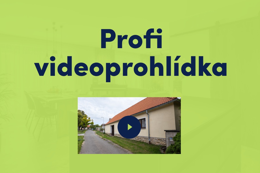 Profesionální video - včetně profi postprodukce