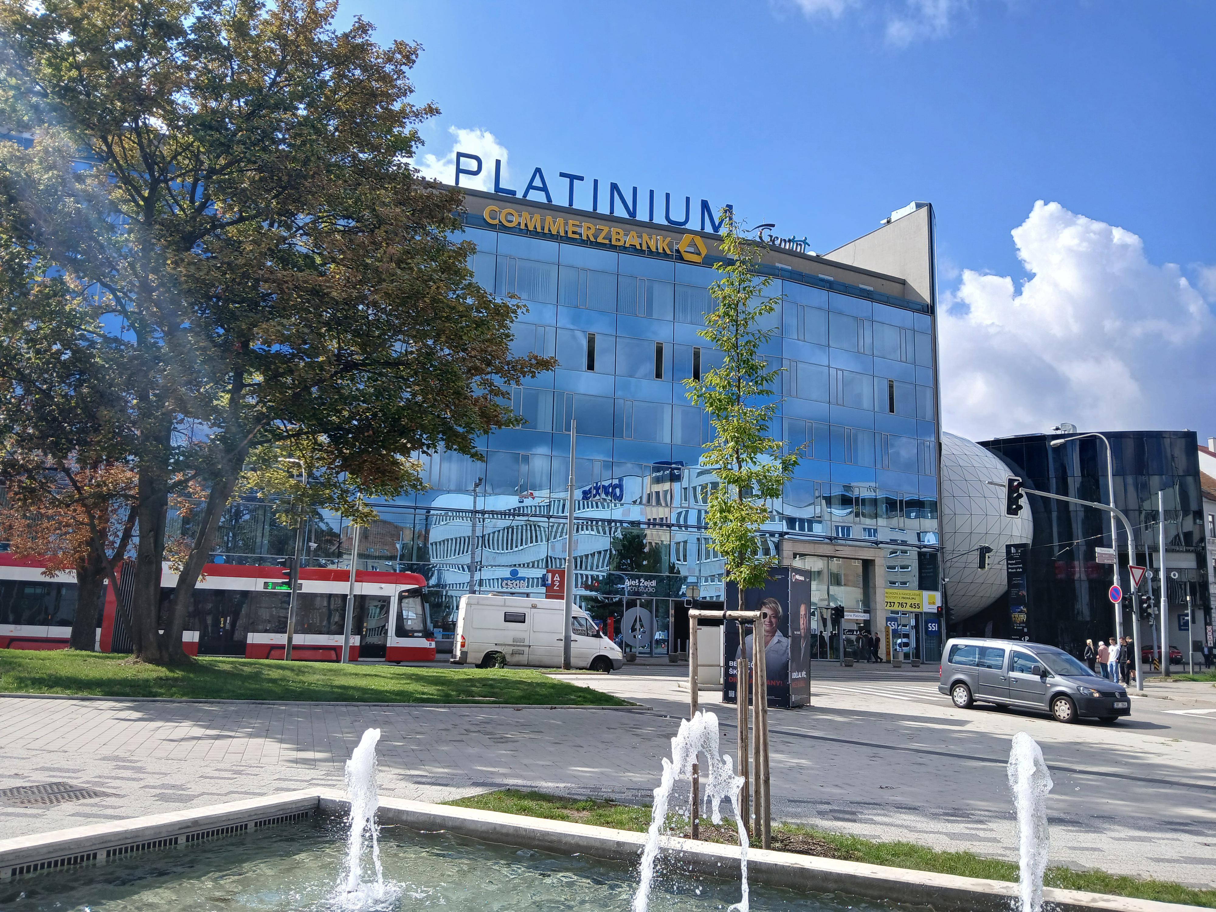 PLATINIUM foto 2