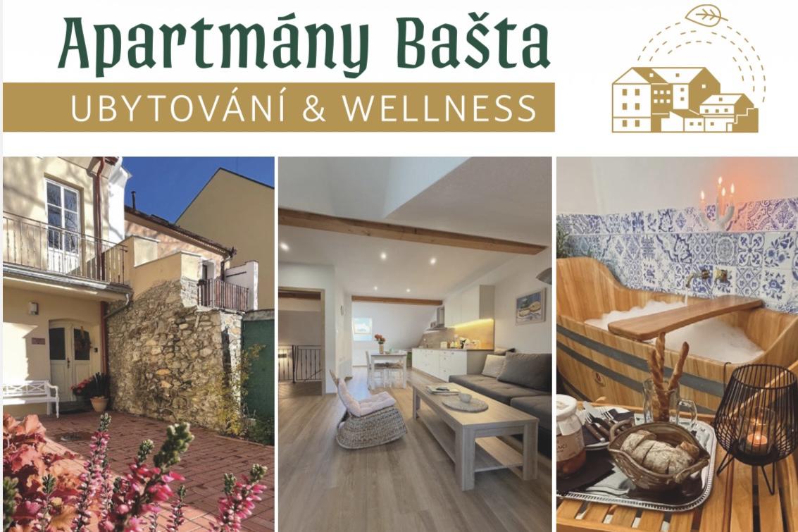 Wellness pobyt v Sušici v komfortních apartmánech