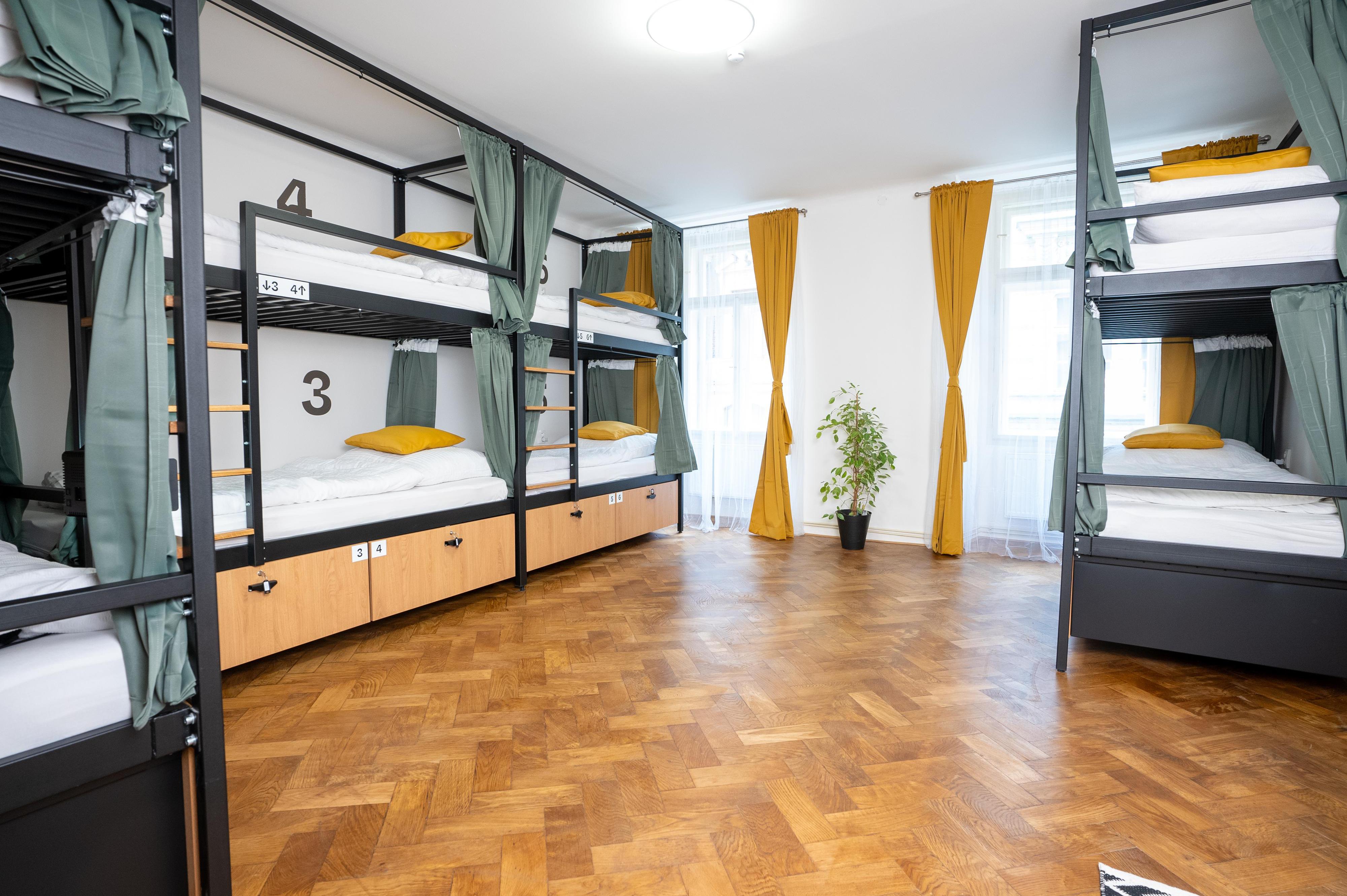 White Wolf House Hostel & Apartments