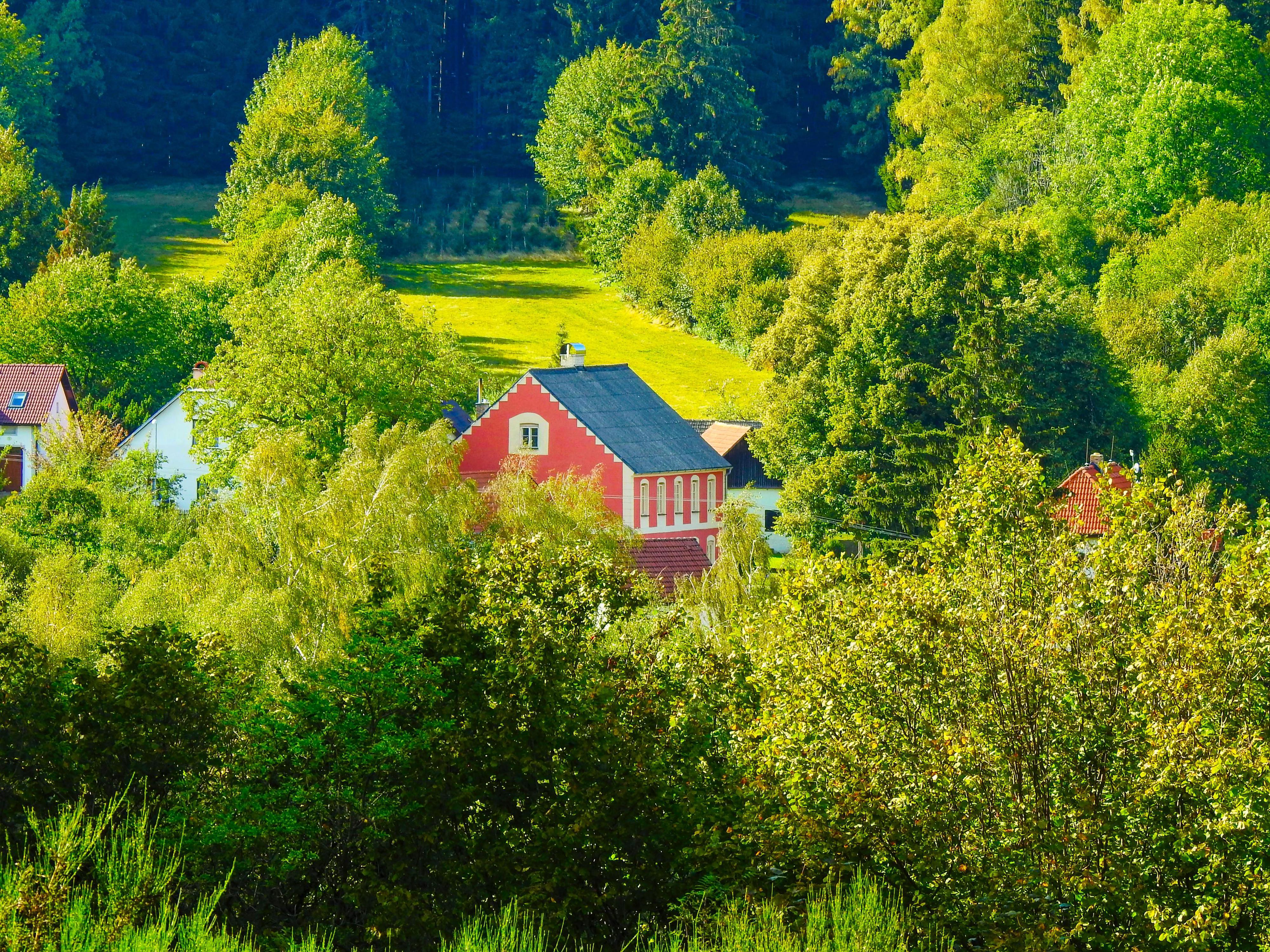 Spolková knihovna Hojná Voda foto 2