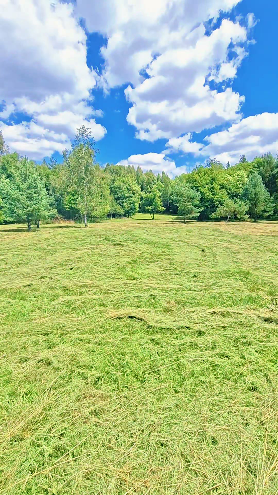Agrolesík Mydloch foto 2 (náhled videa)