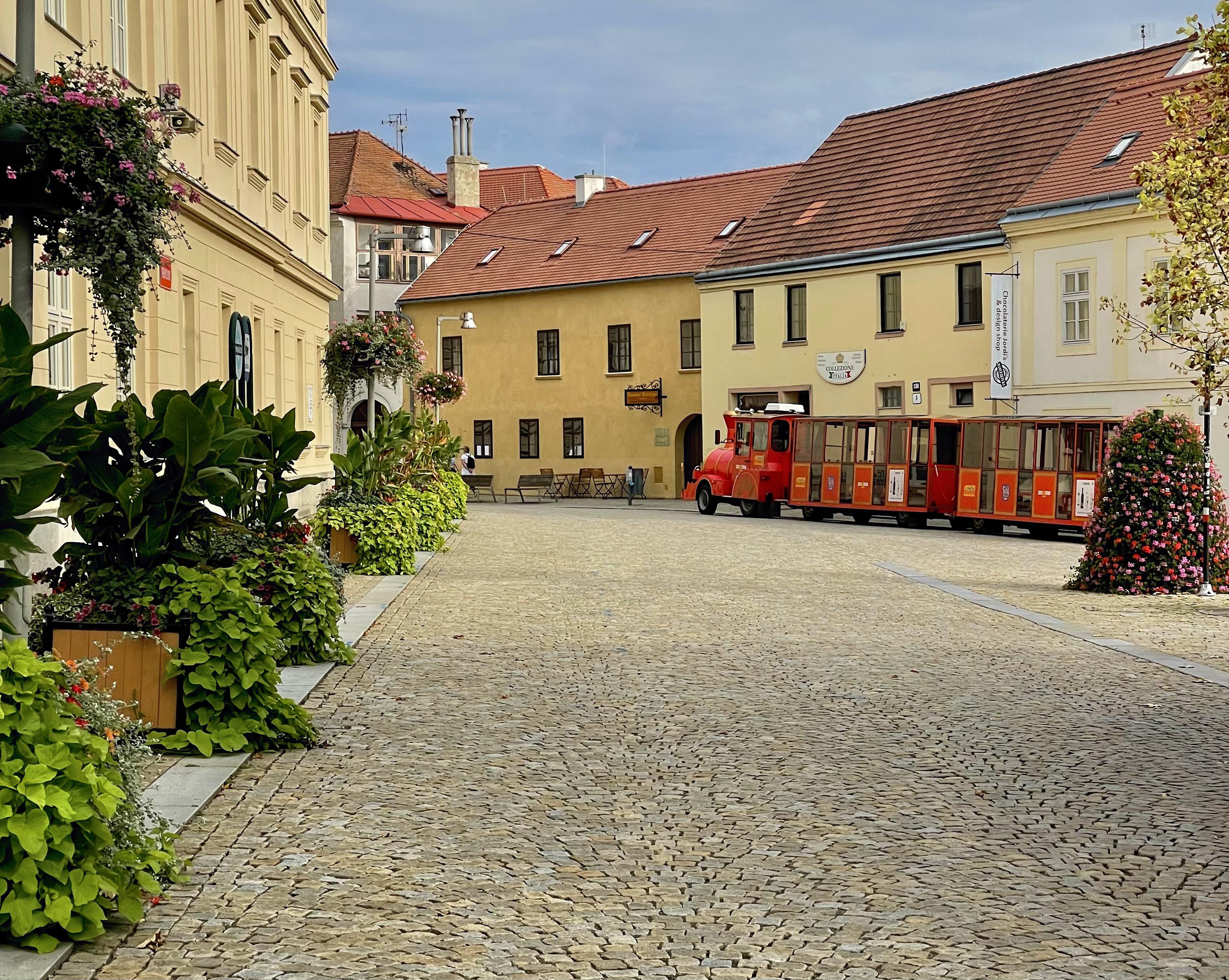 Znojmo Heritage - Apartments & Gothic Wine Bar foto 3