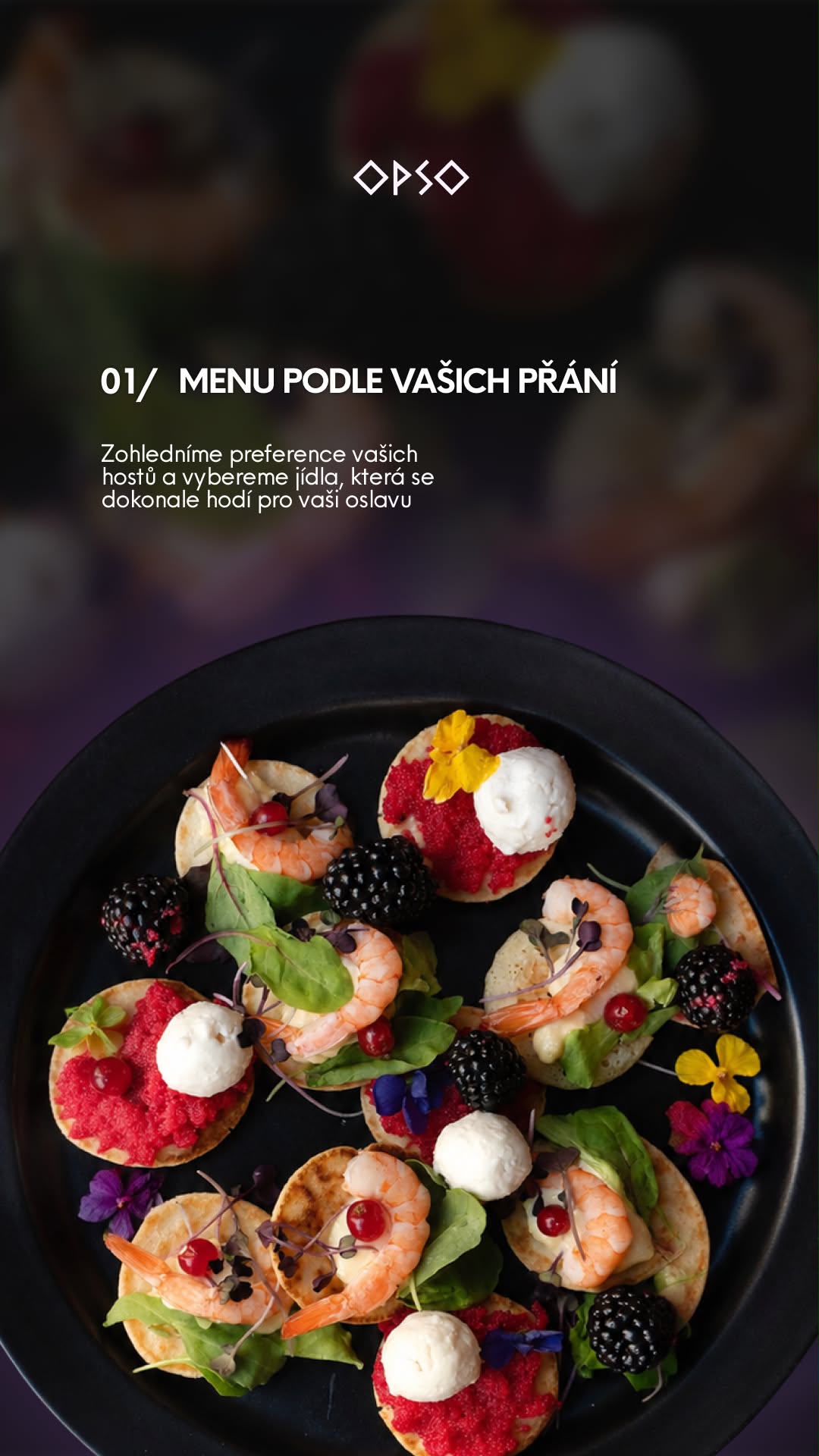 OPSO SHISHA LOUNGE BAR
