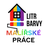 logo Vitalii Tarnovskyi