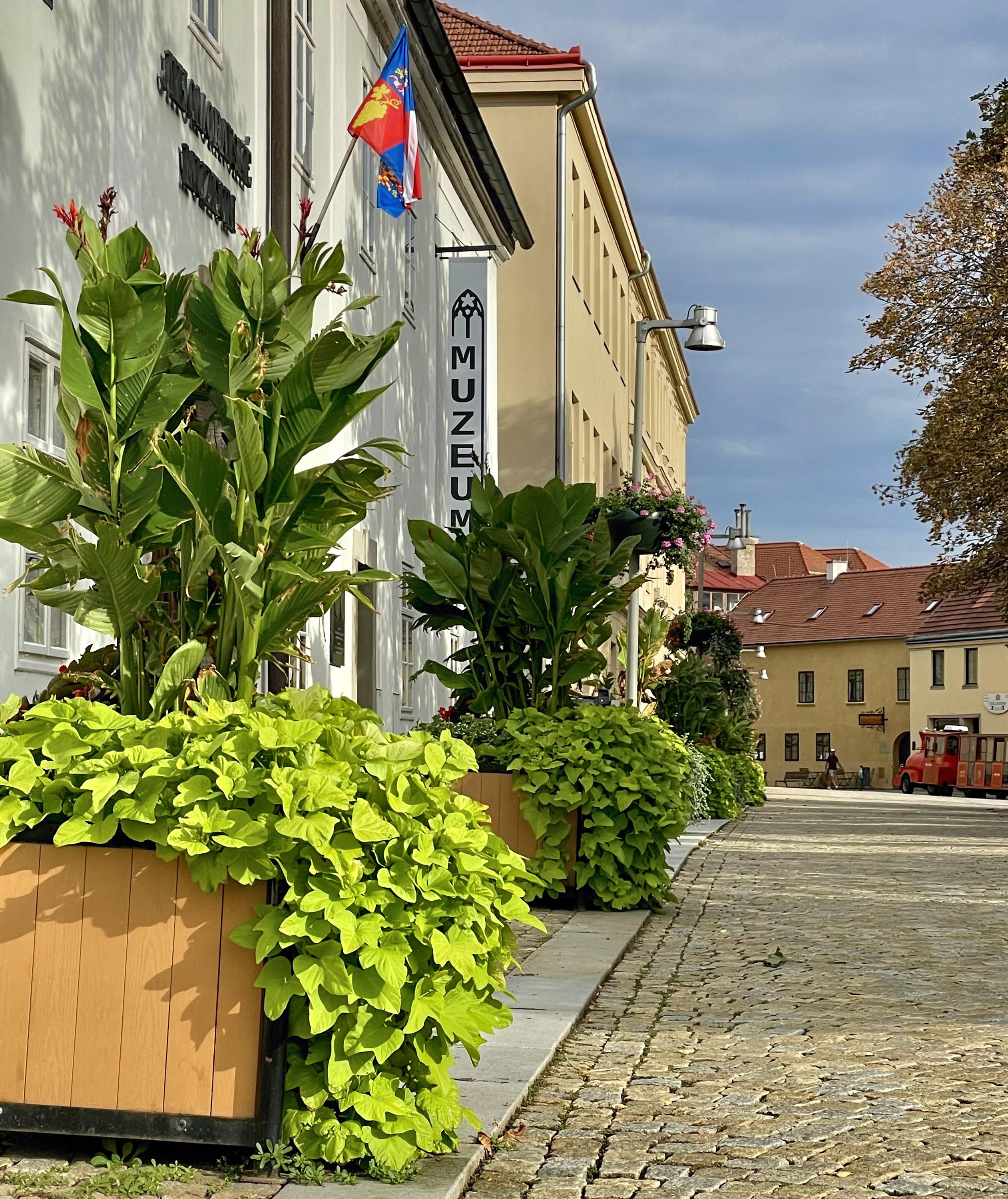 Znojmo Heritage - Apartments & Gothic Wine Bar foto 2