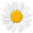 logo Ing. Kateřina Štainerová