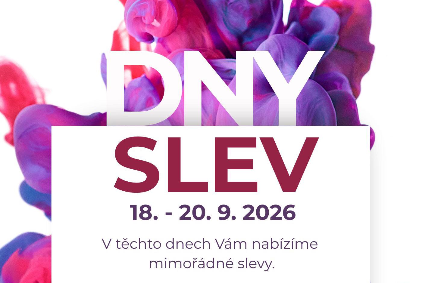 DNY SLEV