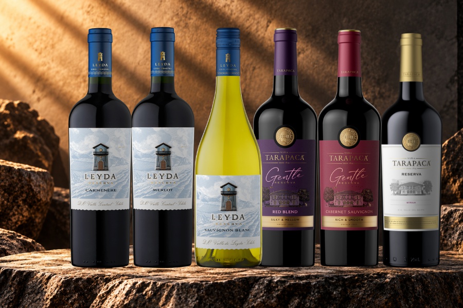 Degustační kolekce vín Reserva, Tarapacá, Leyda