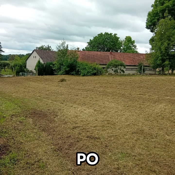 BezDžungle foto 2 (náhled videa)