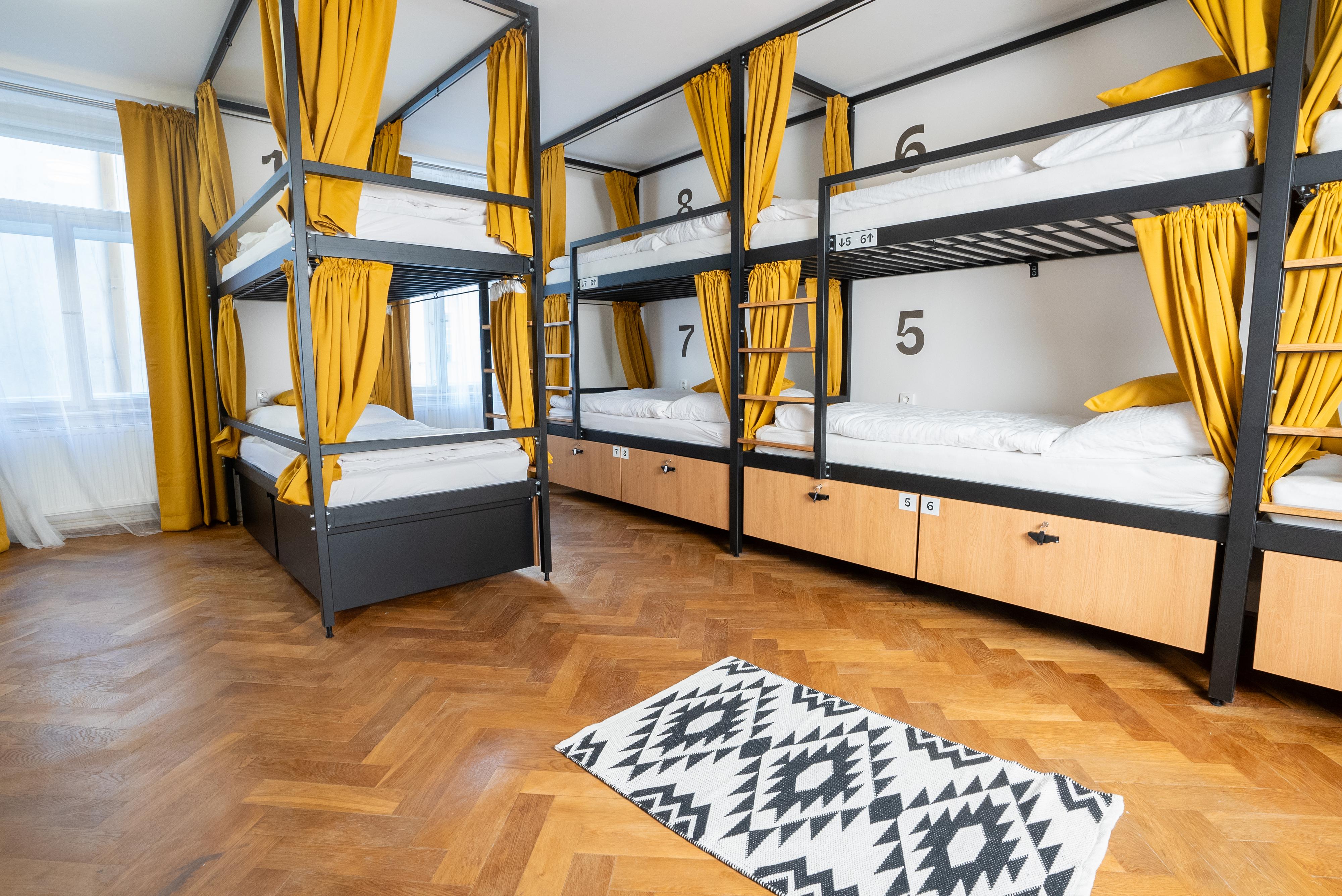 White Wolf House Hostel & Apartments foto 3
