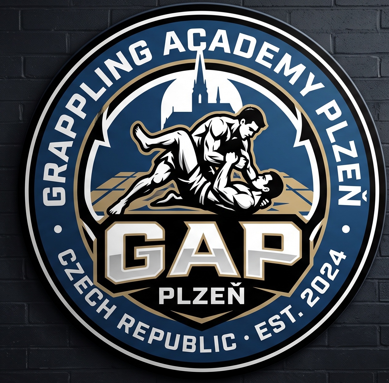 Grappling Academy Plzeň foto 1