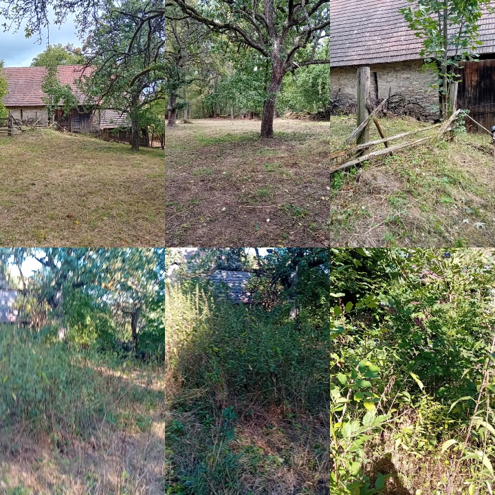 BezDžungle foto 3