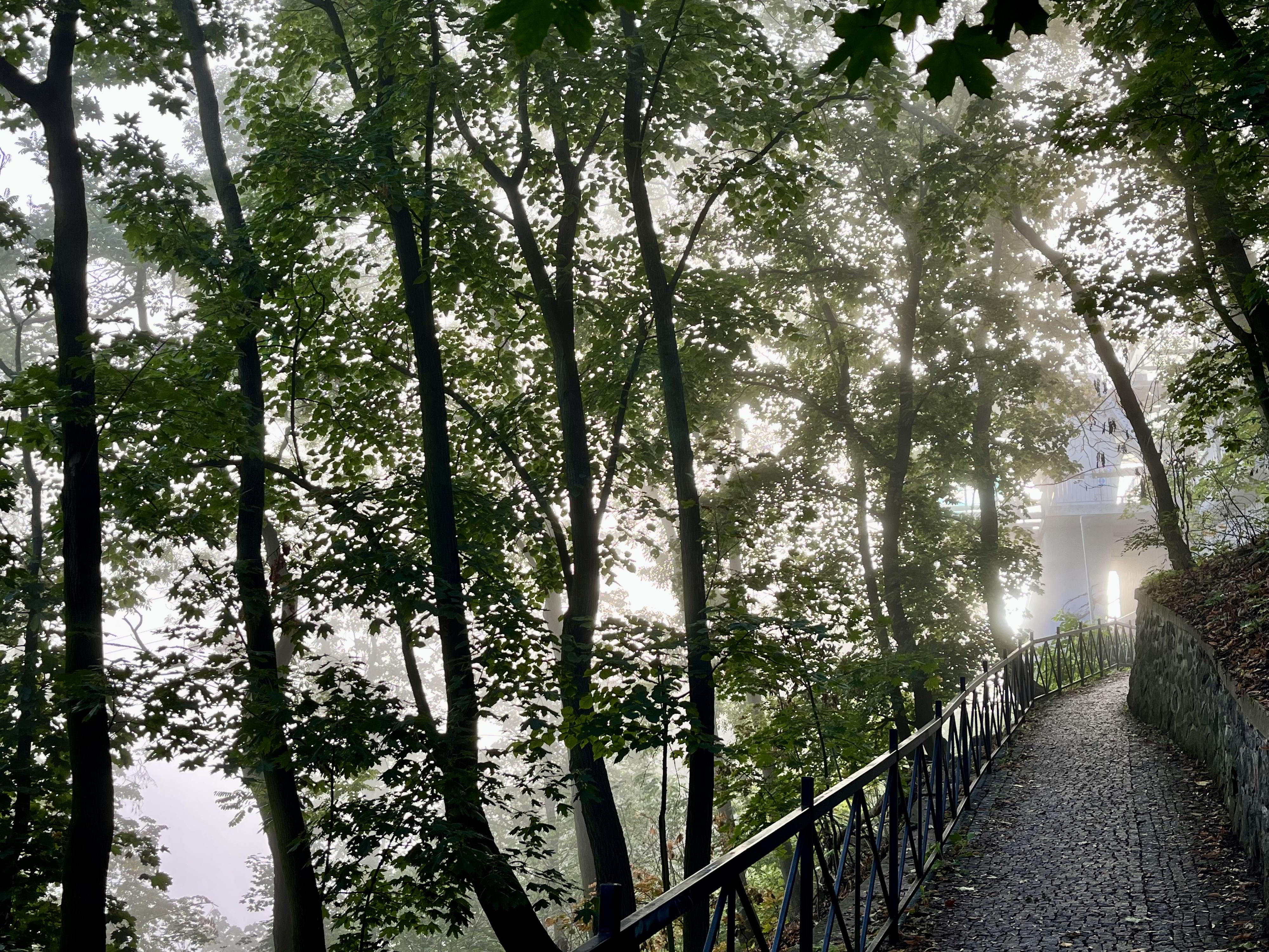 Dopravní podnik města Ústí nad Labem, a.s. foto 2