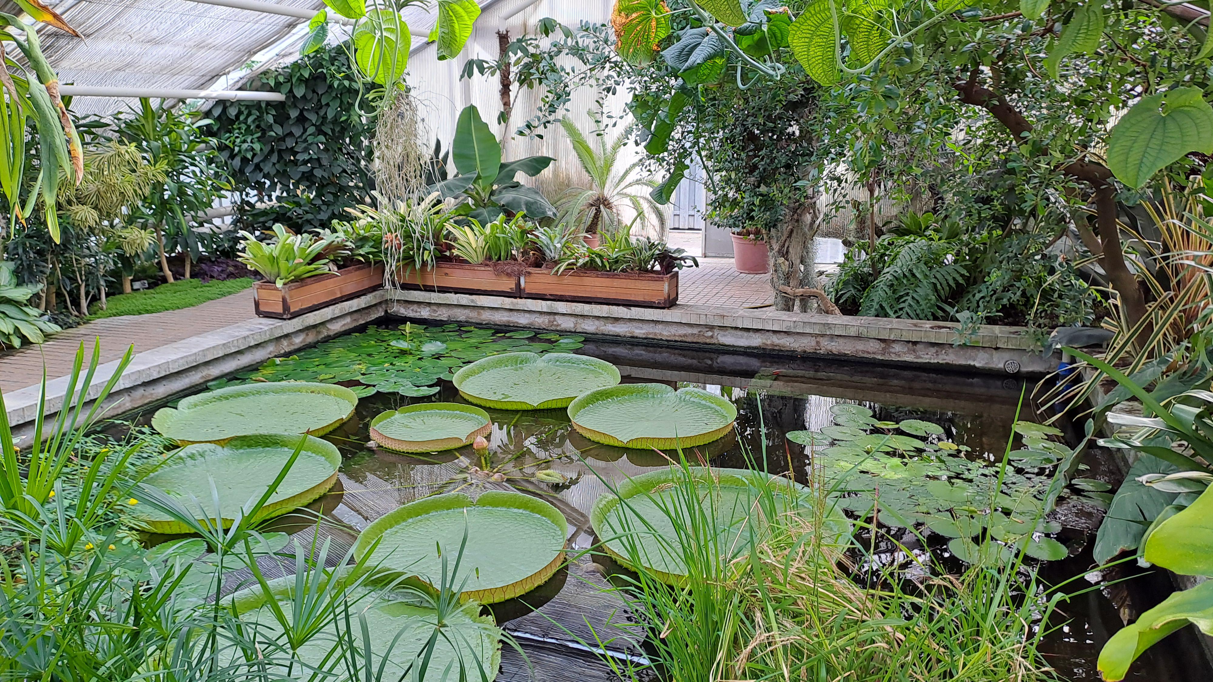 Sbírkové skleníky Výstaviště Flora Olomouc foto 5
