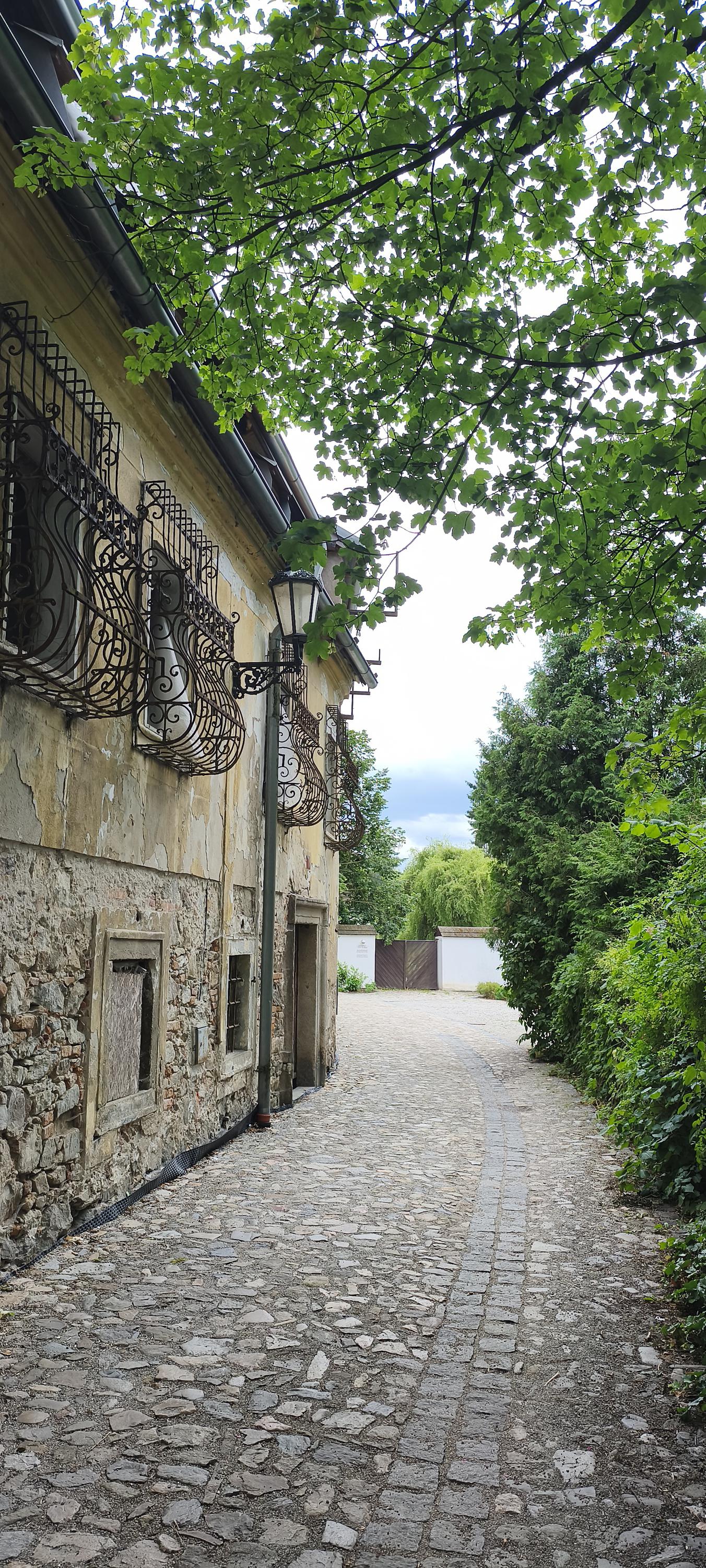 Kapr Pod Hradem
