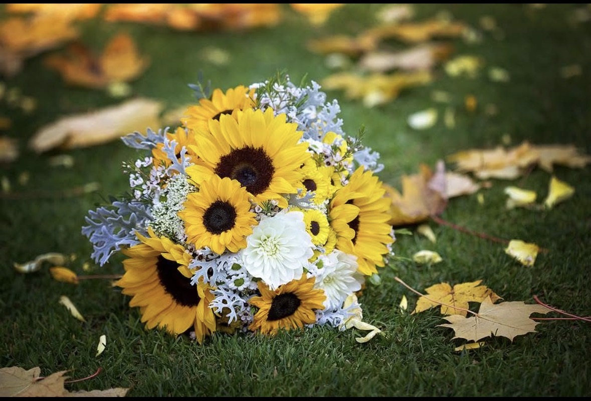 Petra Florist foto 6
