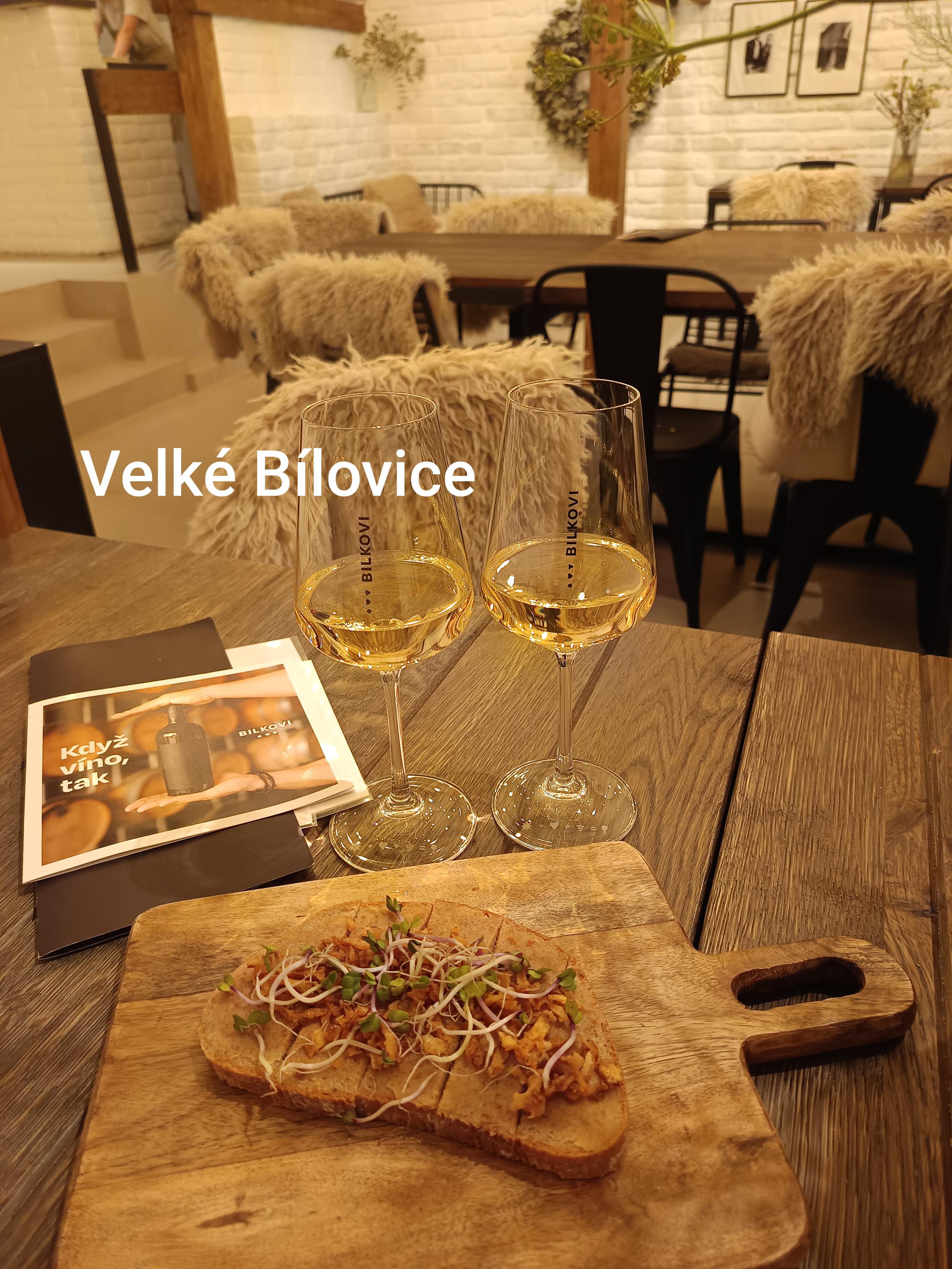 Rodinné vinařství Bílkovi
