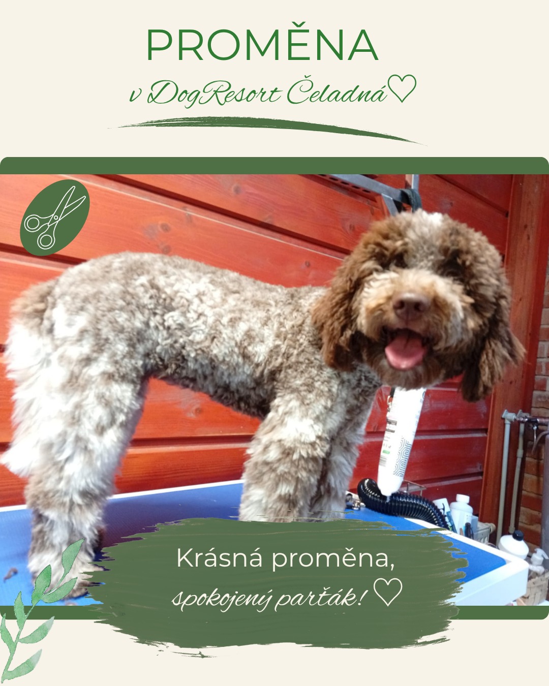 DogResort Čeladná foto 5