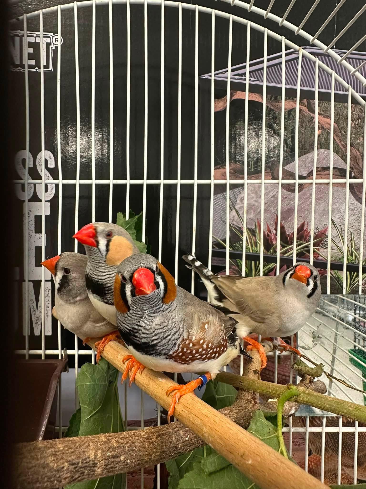 Chovatelský svět foto 3