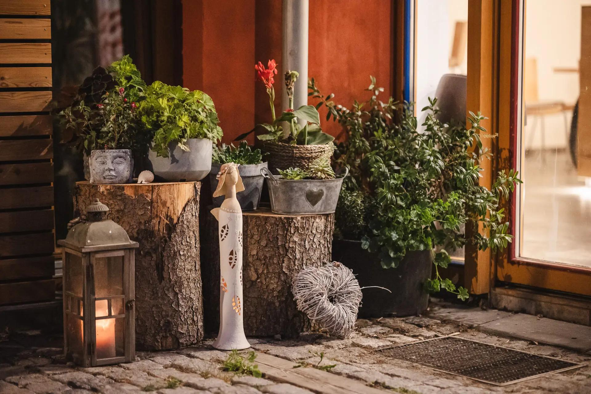 Jóga - Relaxační studio Na dvorku foto 3