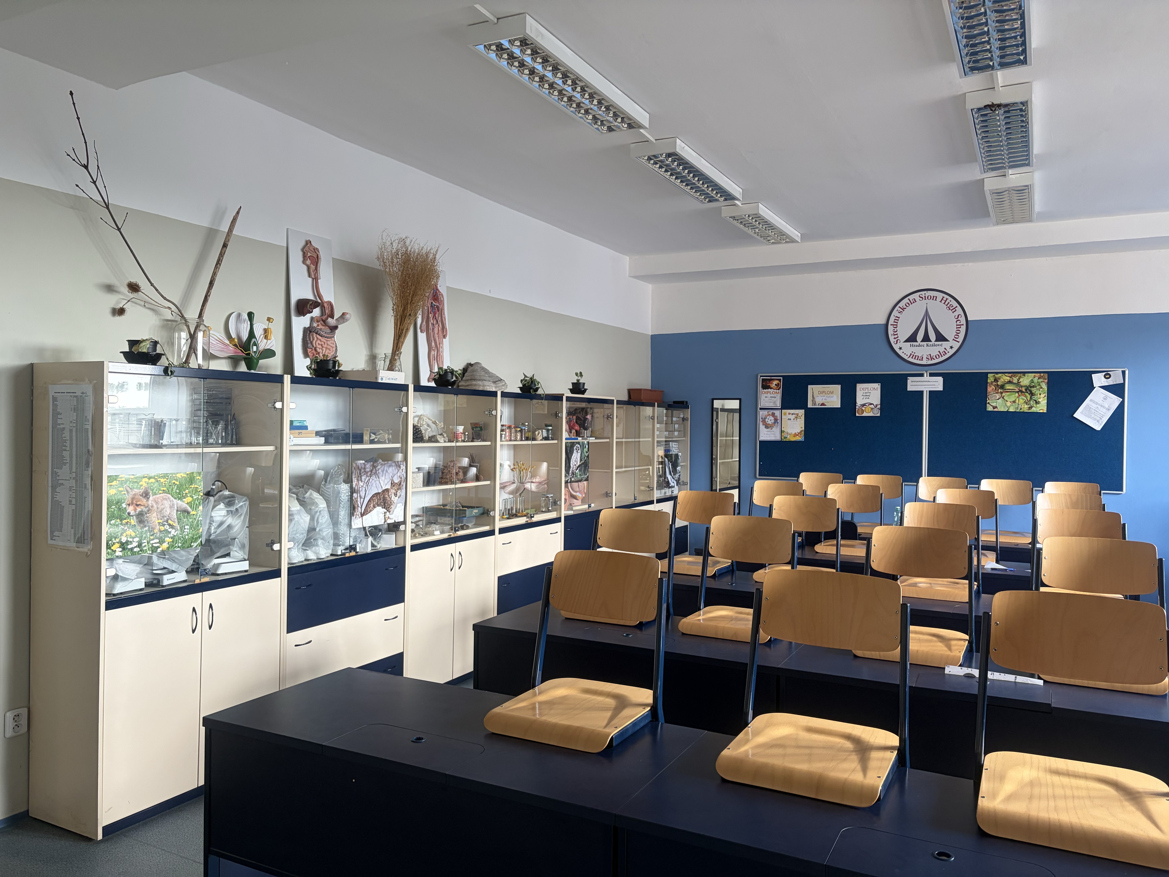 Střední škola Sion High School, Hradec Králové foto 5