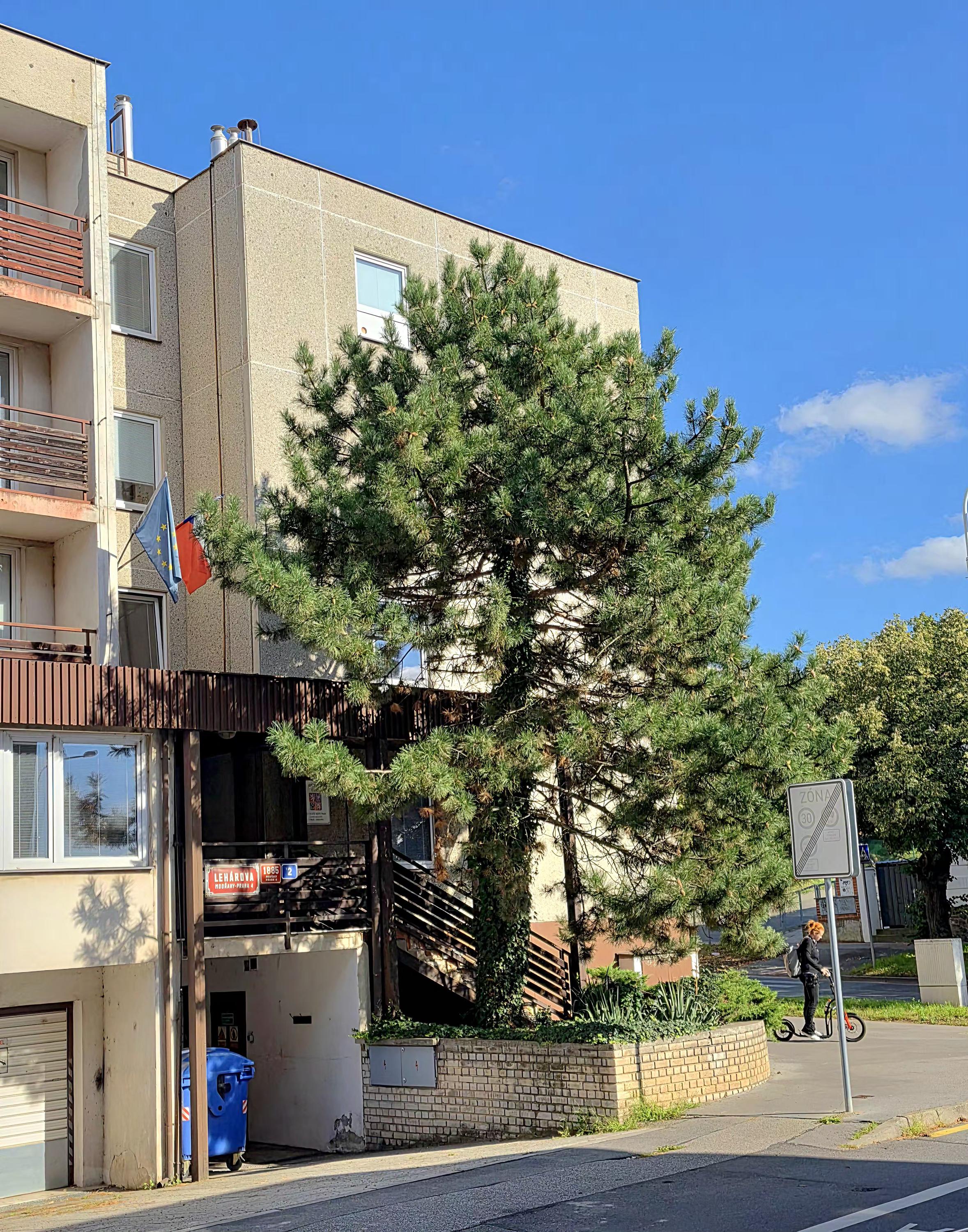 Finanční úřad pro hlavní město Prahu - Územní pracoviště v Praze - Modřanech foto 2