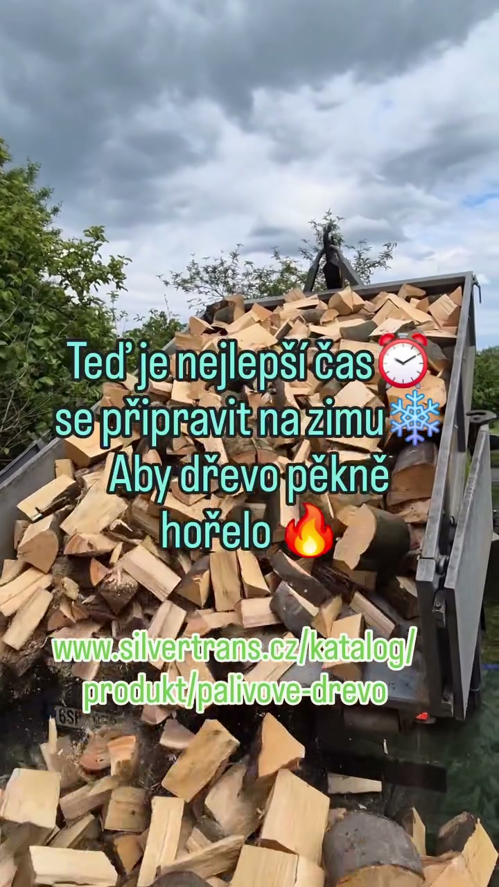 silvertrans foto 2 (náhled videa)
